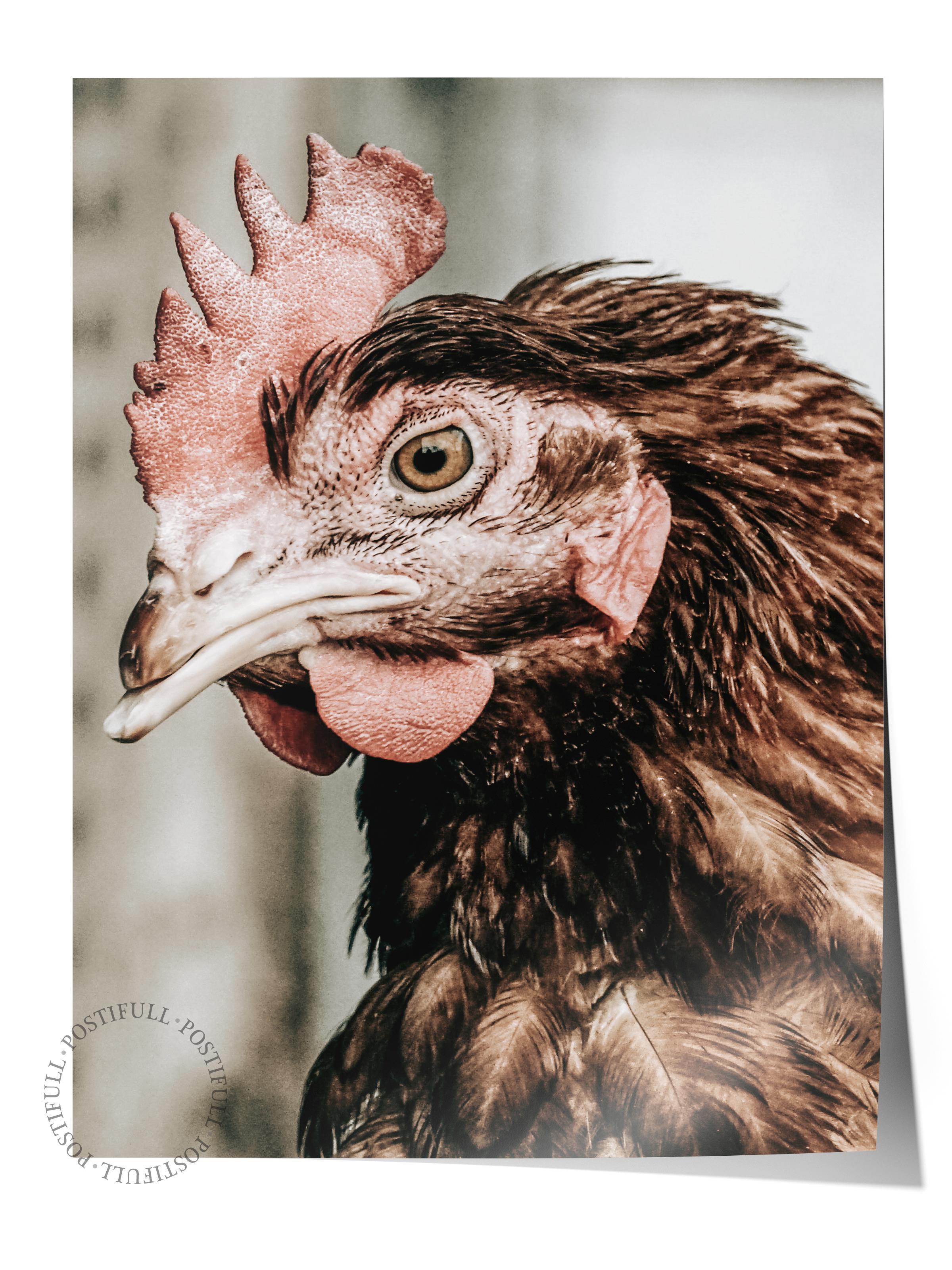 Rustic Çerçevesiz Poster, İskandinav Kahverengi Poster, NO:176 Tavuk Yakın Plan Fotoğraf, Dikey