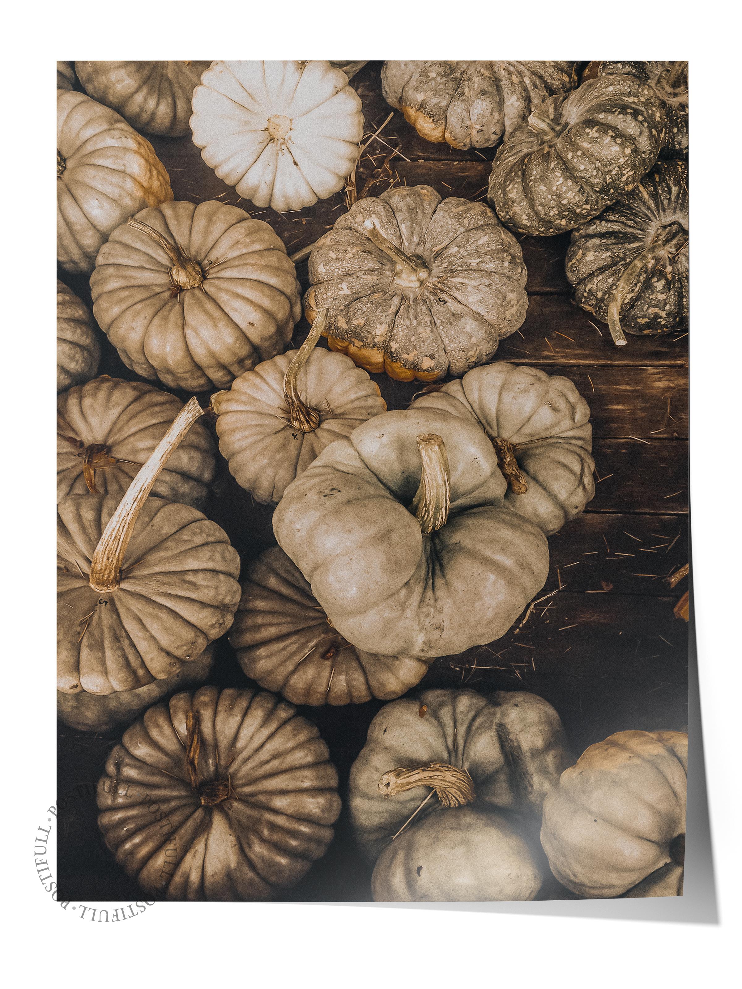 Rustic Çerçevesiz Poster, İskandinav Kahverengi Poster, NO:18 Balkabakları Fotoğraf, Dikey