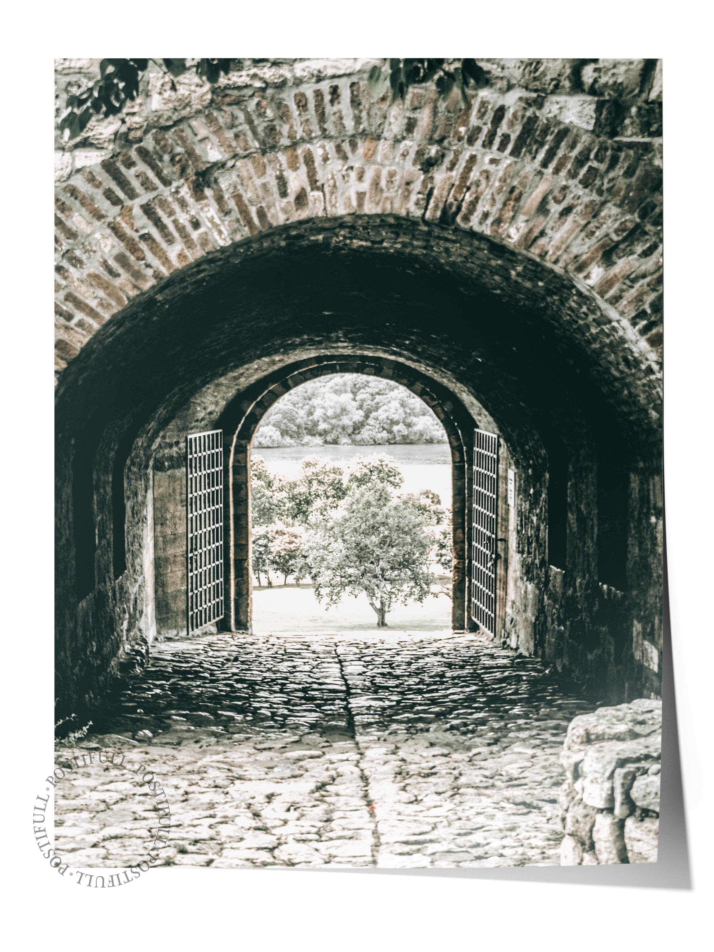 Rustic Çerçevesiz Poster, İskandinav Kahverengi Poster, NO:180 Taş Kapı ve Kemer Fotoğraf, Dikey