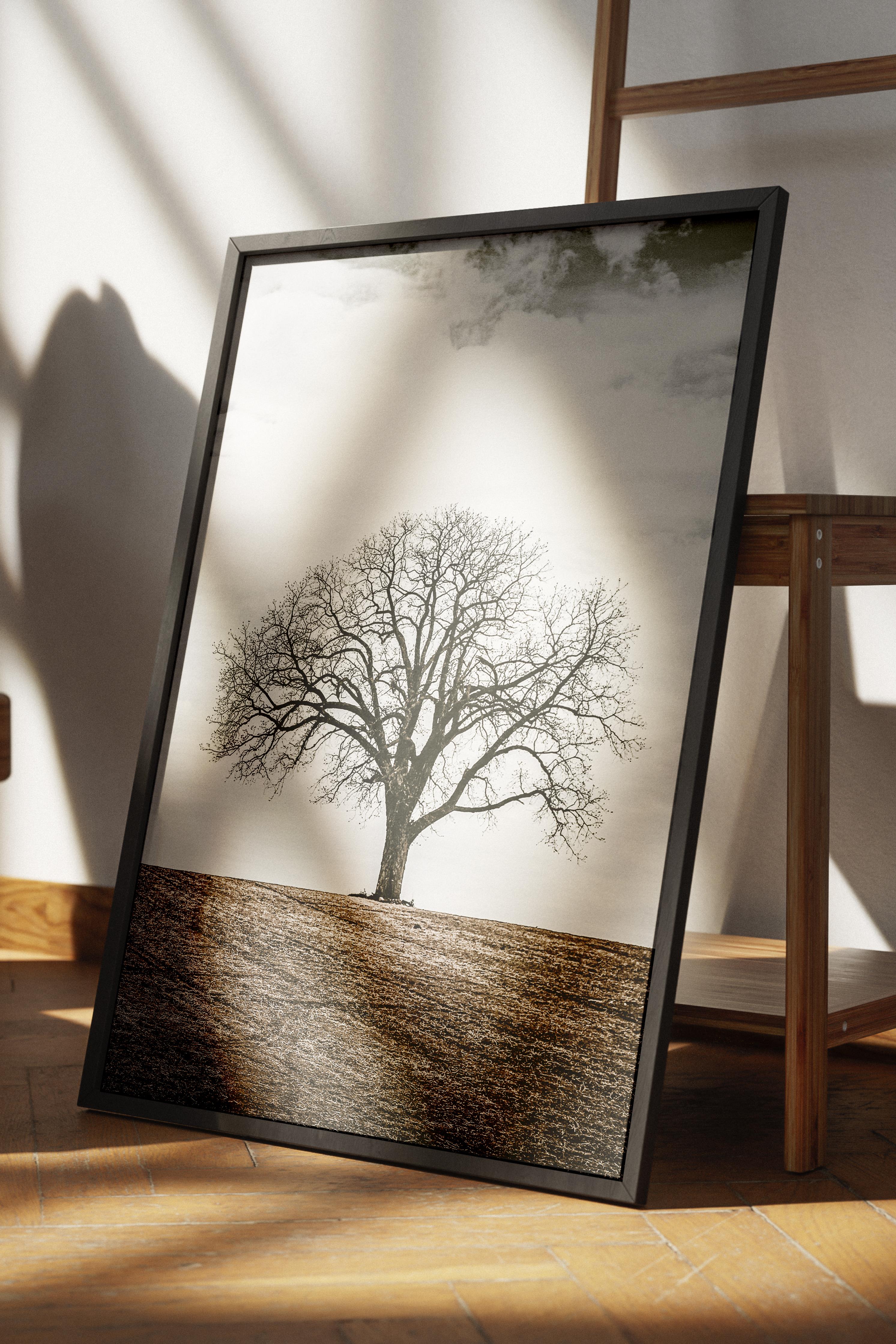 Rustic Çerçevesiz Poster, İskandinav Kahverengi Poster, NO:191 Tek Ağaç Fotoğraf, Dikey