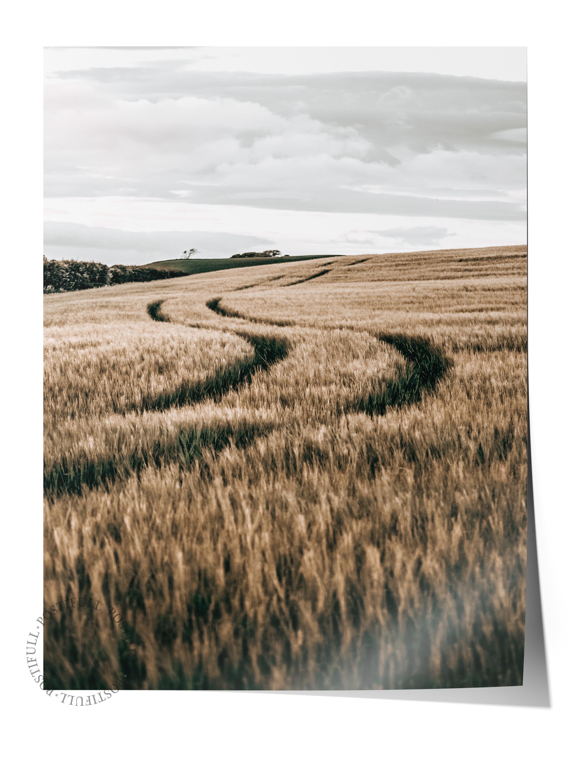 Rustic Çerçevesiz Poster, İskandinav Kahverengi Poster, NO:203 Buğday Tarlası Fotoğraf, Dikey