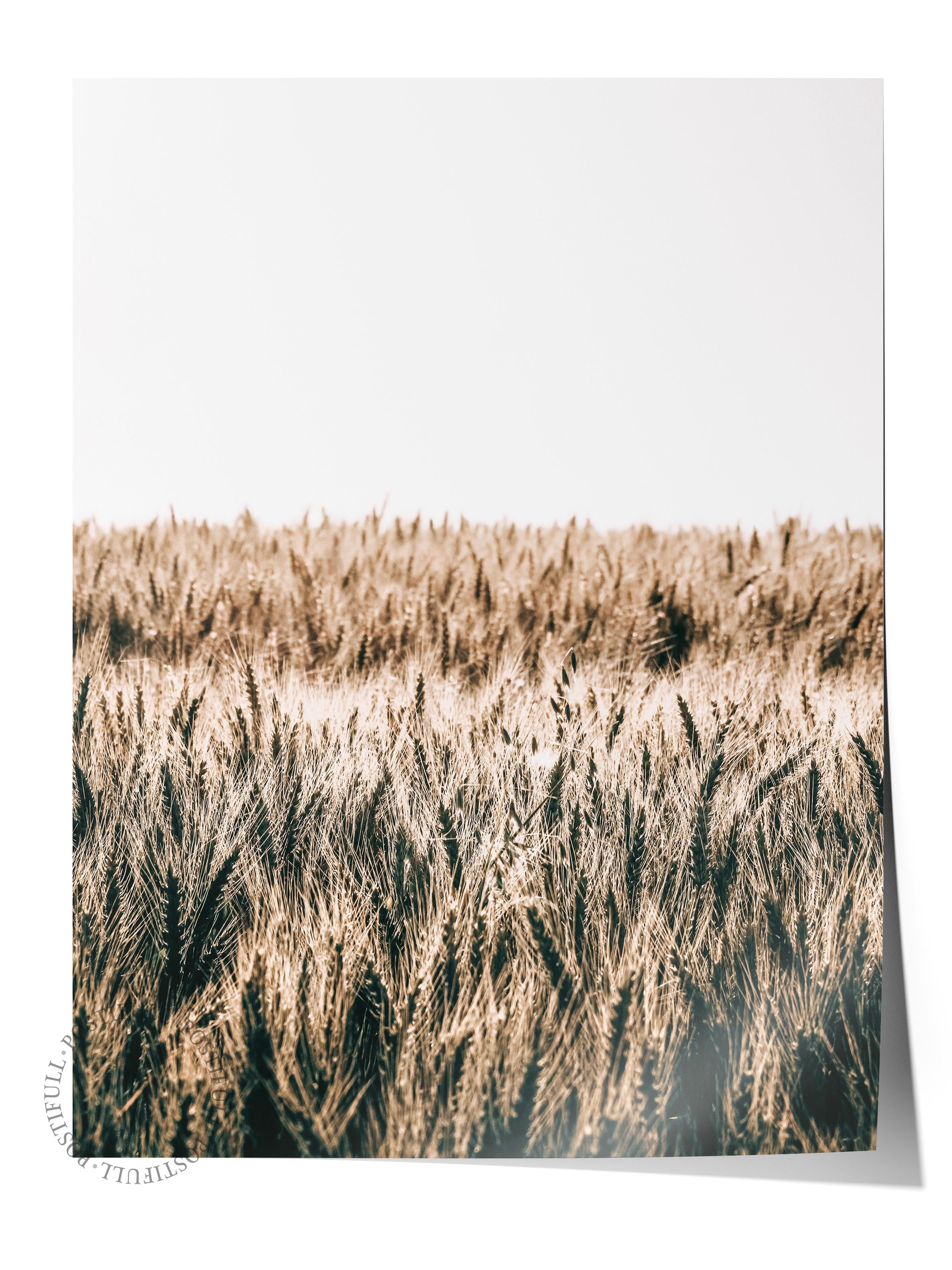 Rustic Çerçevesiz Poster, İskandinav Kahverengi Poster, NO:204 Buğday Fotoğraf, Dikey