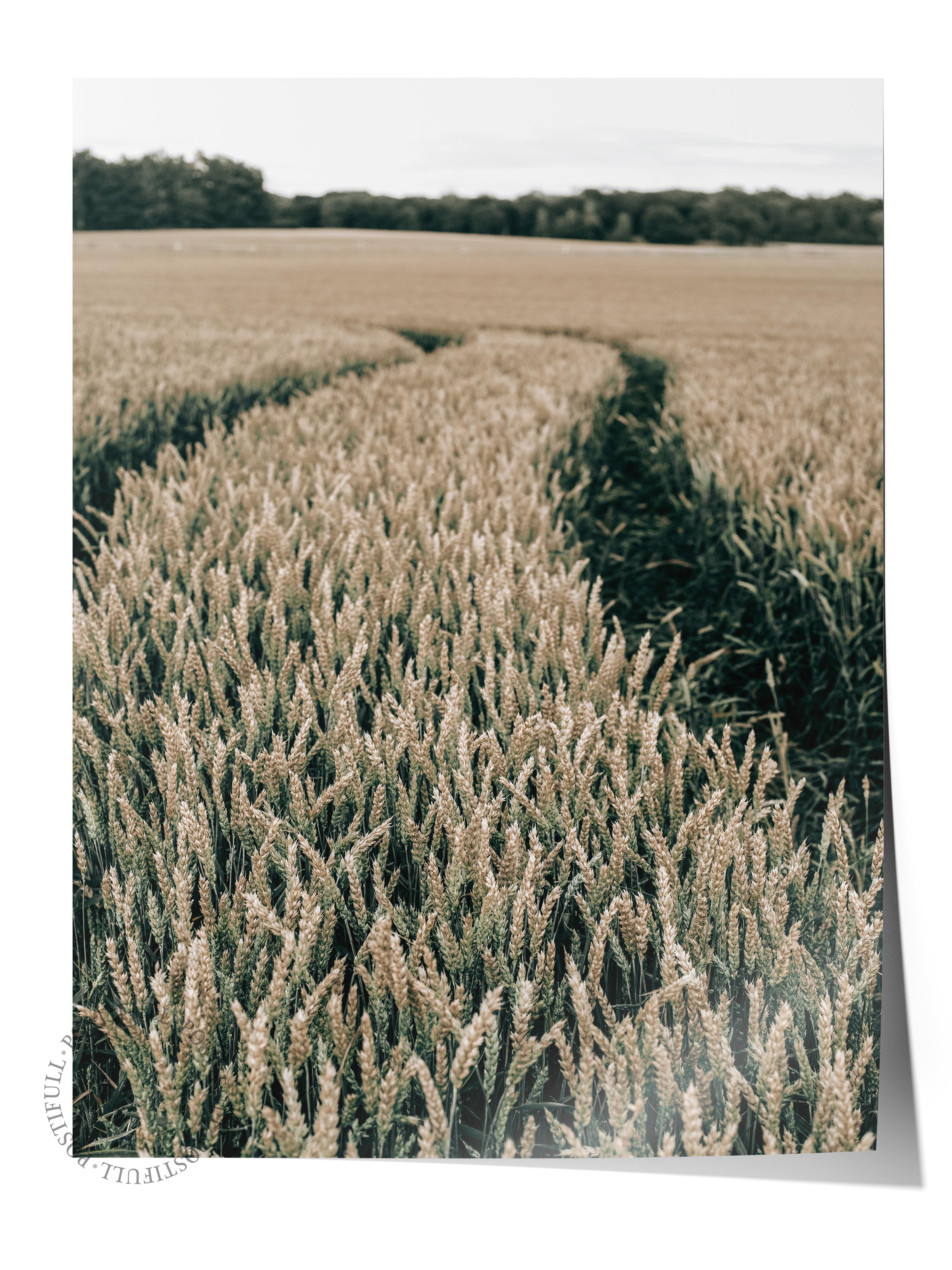Rustic Çerçevesiz Poster, İskandinav Kahverengi Poster, NO:205 Tarla Yolu Fotoğraf, Dikey