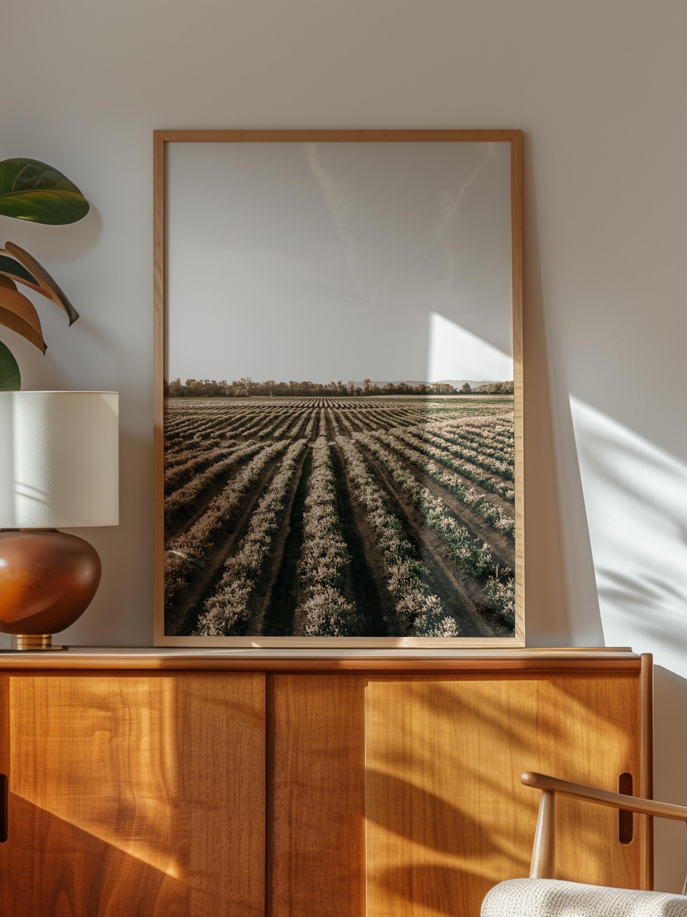 Rustic Çerçevesiz Poster, İskandinav Kahverengi Poster, NO:206 Tarla ve Gökyüzü Fotoğraf, Dikey