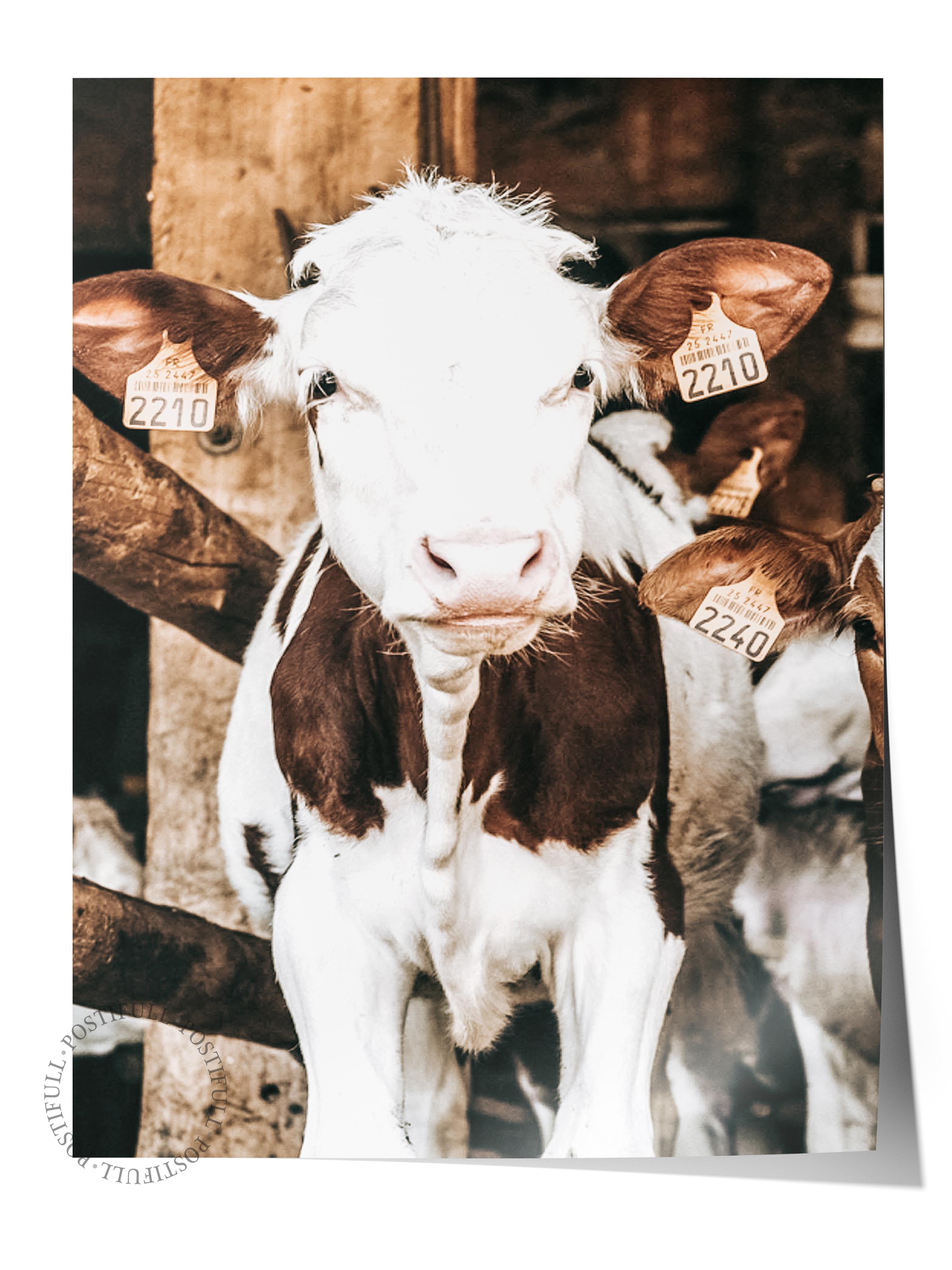 Rustic Çerçevesiz Poster, İskandinav Kahverengi Poster, NO:207 Buzağı Fotoğraf, Dikey