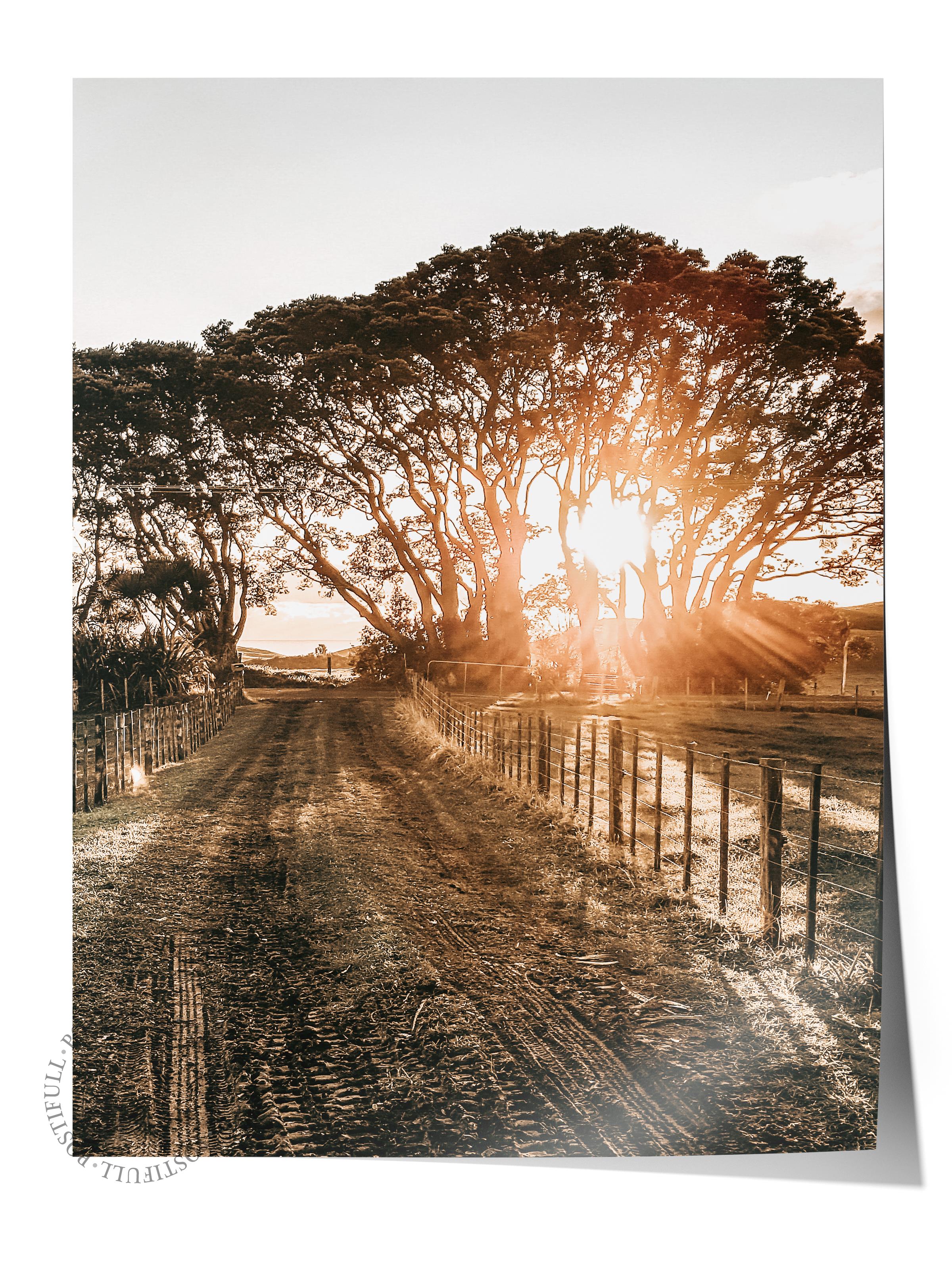 Rustic Çerçevesiz Poster, İskandinav Kahverengi Poster, NO:210 Güneş Batımı ve Ağaçlar Fotoğraf