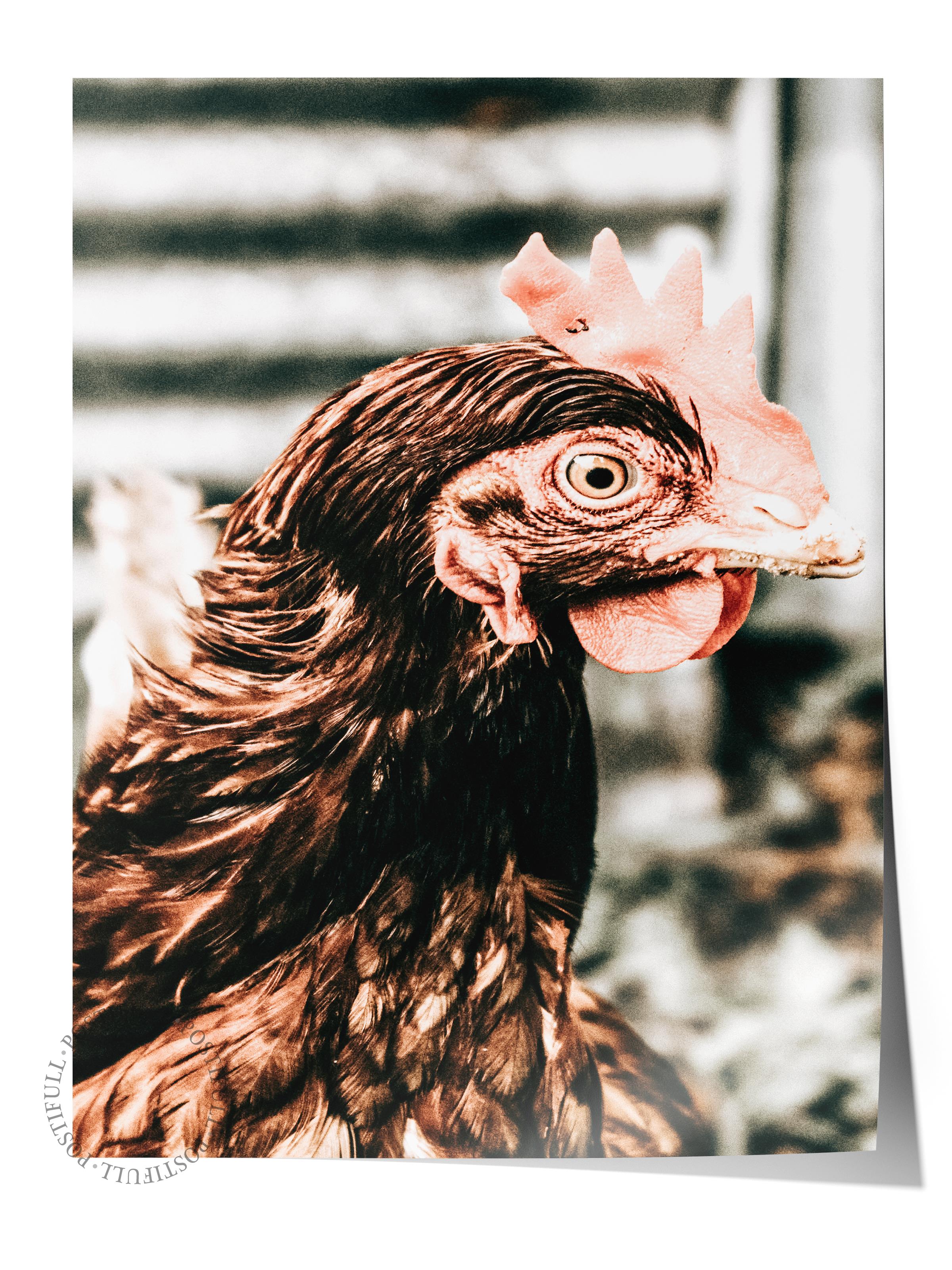 Rustic Çerçevesiz Poster, İskandinav Kahverengi Poster, NO:211 Tavuk Fotoğraf, Dikey