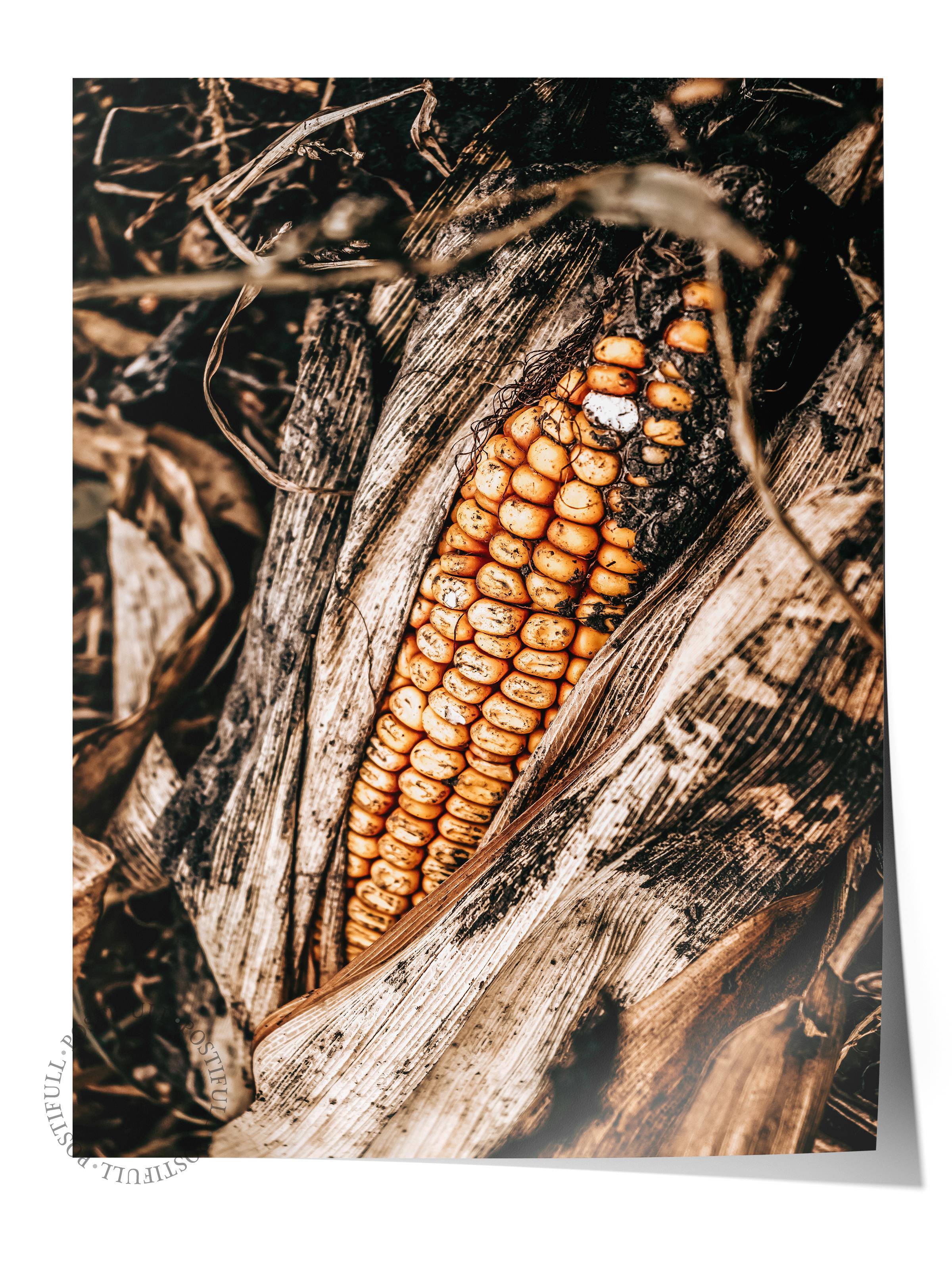 Rustic Çerçevesiz Poster, İskandinav Kahverengi Poster, NO:213 Mısır Yakın Plan Fotoğraf, Dikey