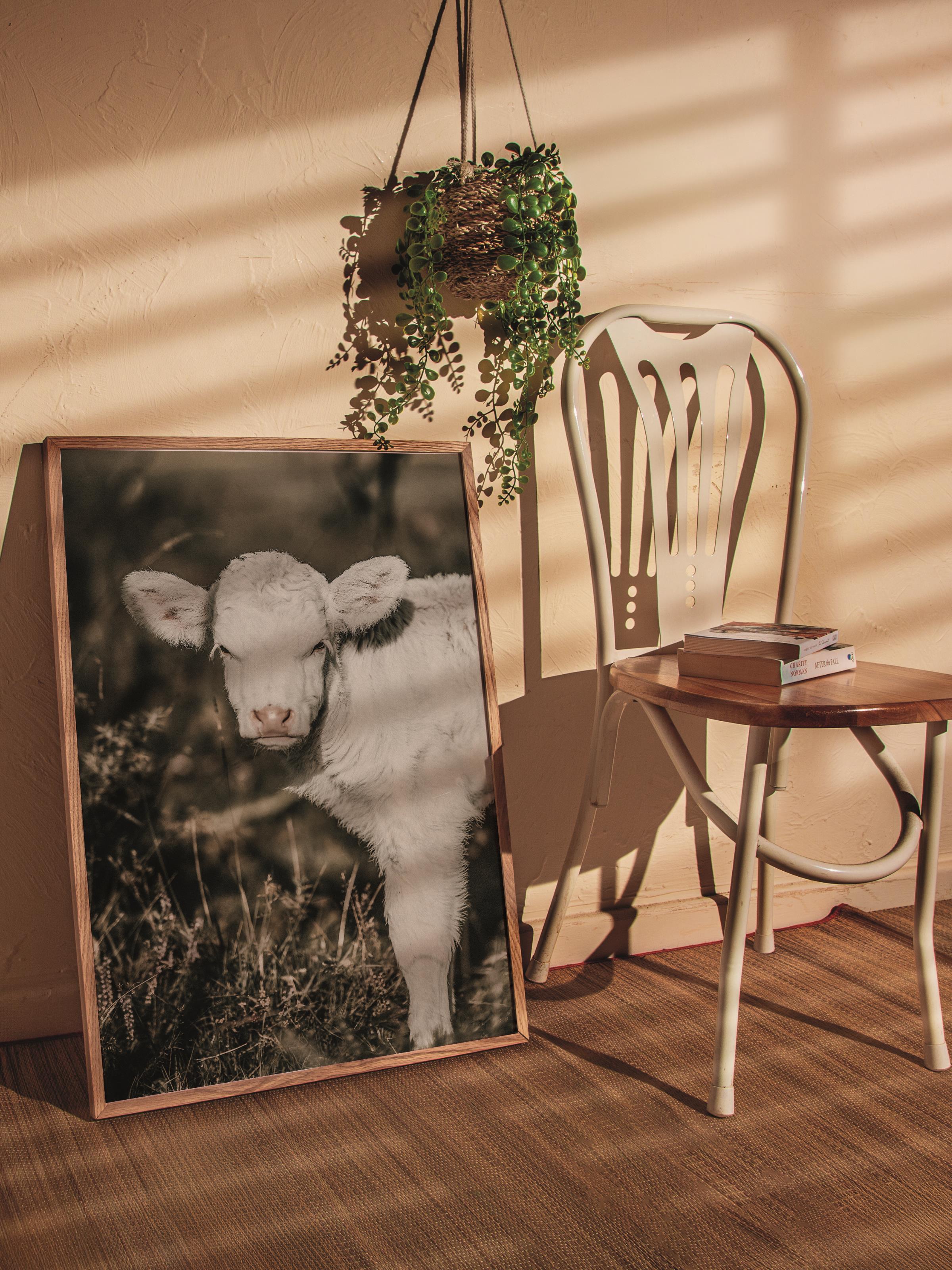 Rustic Çerçevesiz Poster, İskandinav Kahverengi Poster, NO:215 Buzağı Yakın Plan Fotoğraf, Dikey