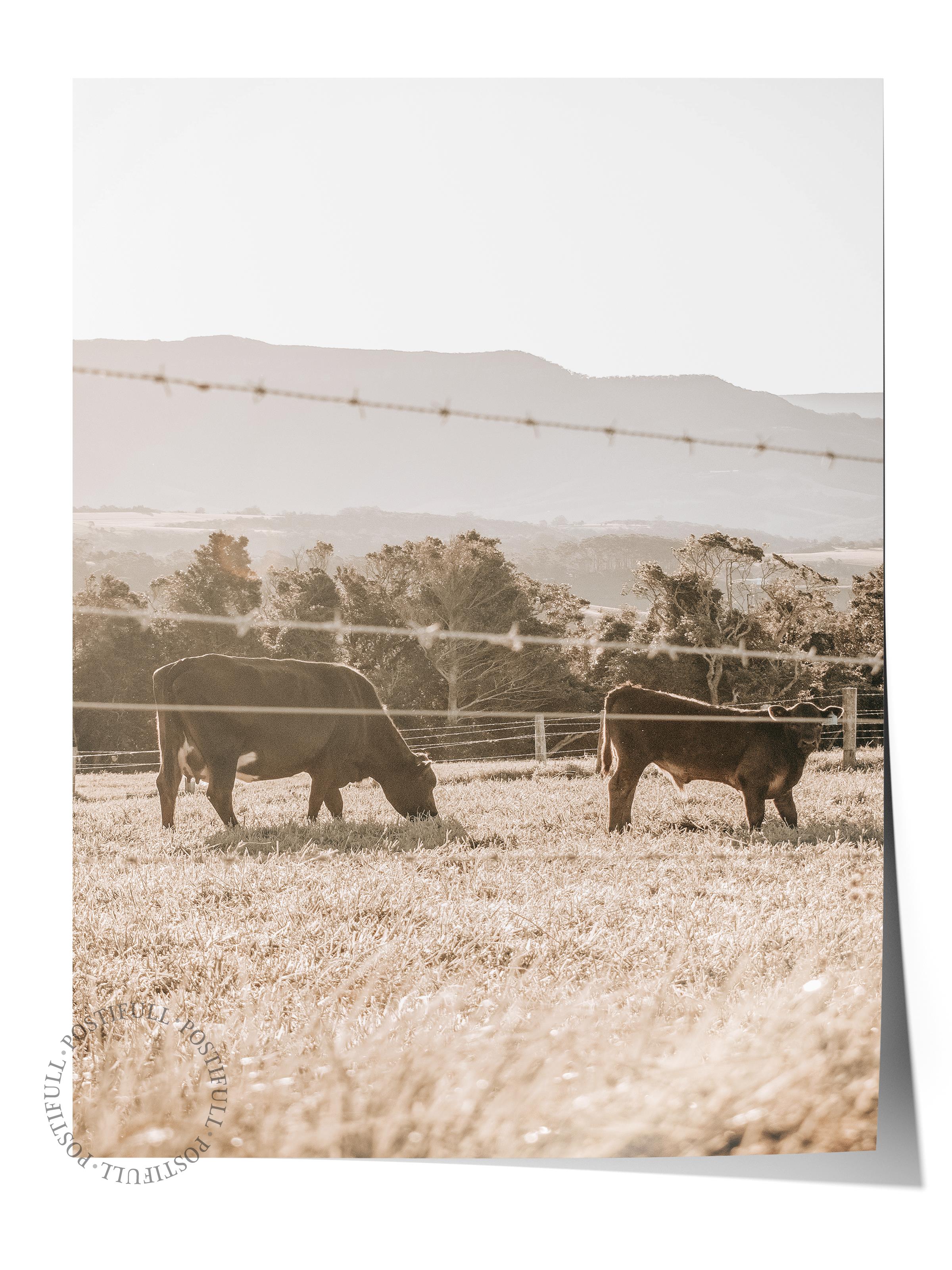 Rustic Çerçevesiz Poster, İskandinav Kahverengi Poster, NO:218 İnekler Fotoğraf, Dikey