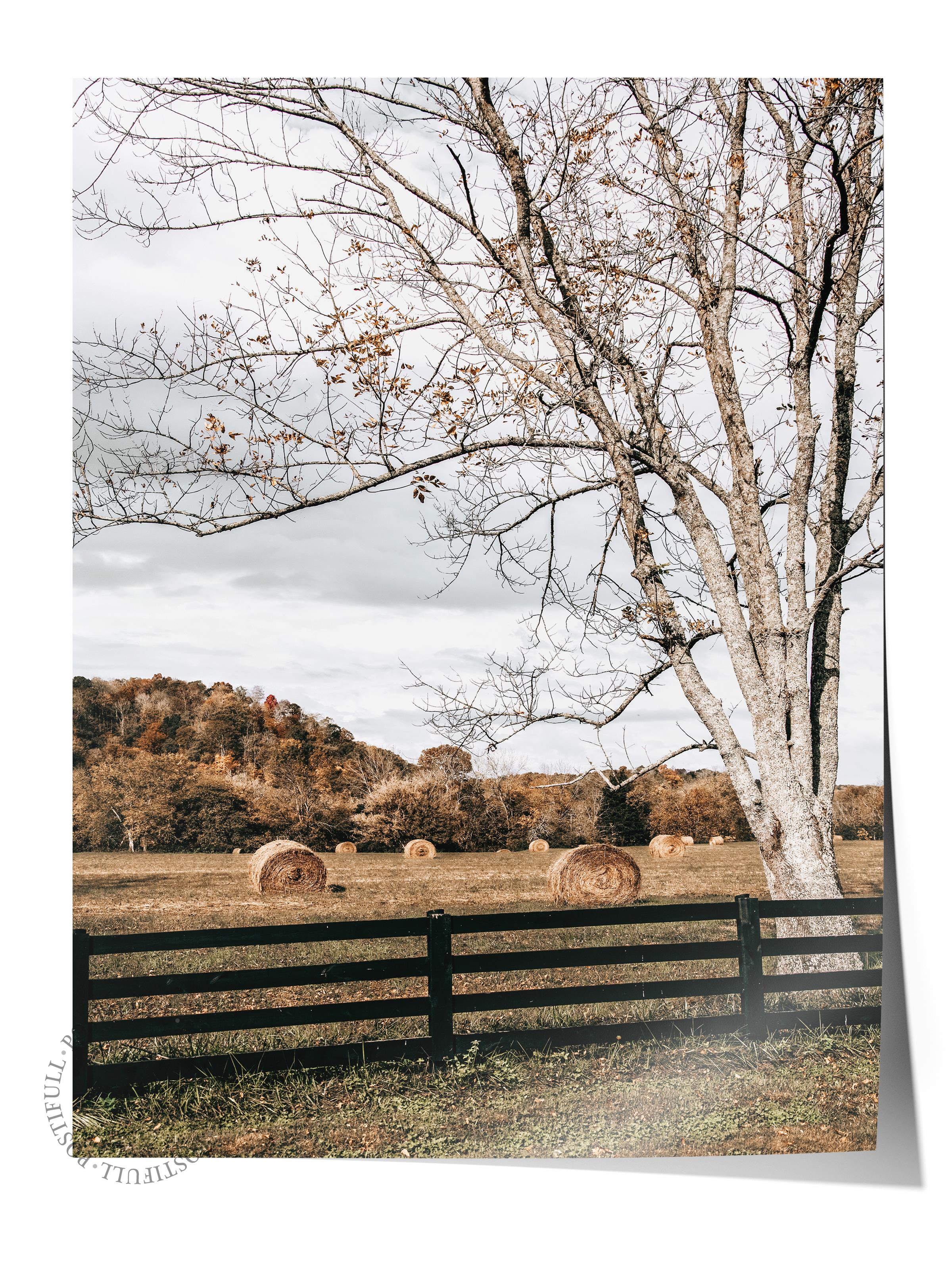Rustic Çerçevesiz Poster, İskandinav Kahverengi Poster, NO:221 Çit ve Ağaç Fotoğraf, Dikey