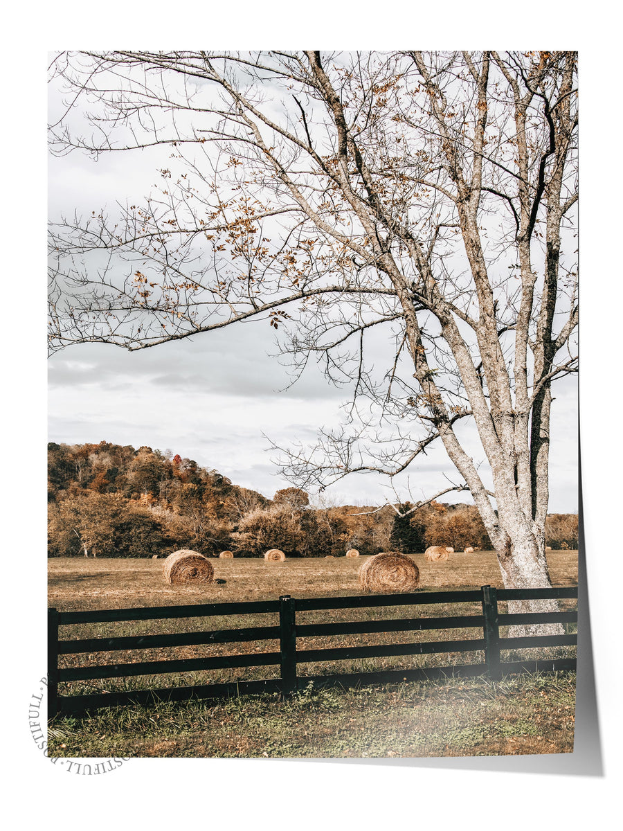 Sonbahar Manzarası Rustic Çerçevesiz Poster