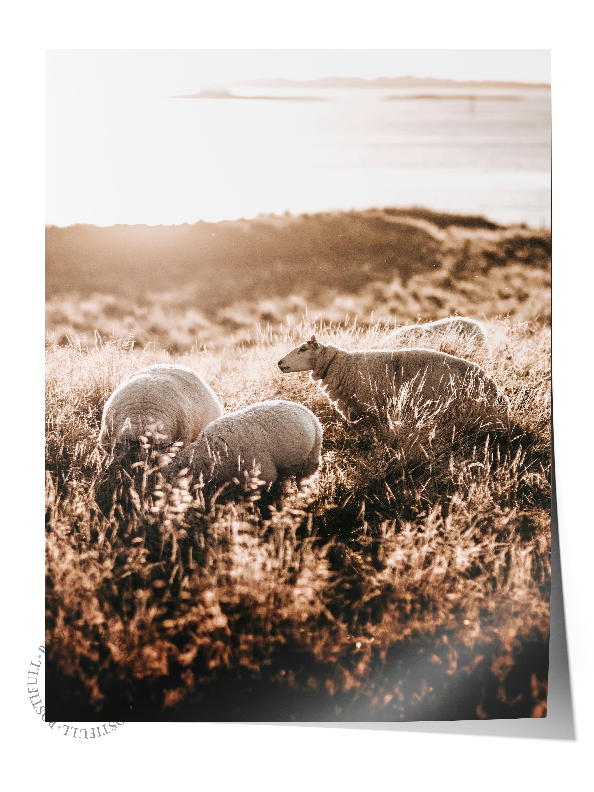 Rustic Çerçevesiz Poster, İskandinav Kahverengi Poster, NO:223 Koyunlar ve Gün Batımı Fotoğraf, Dikey
