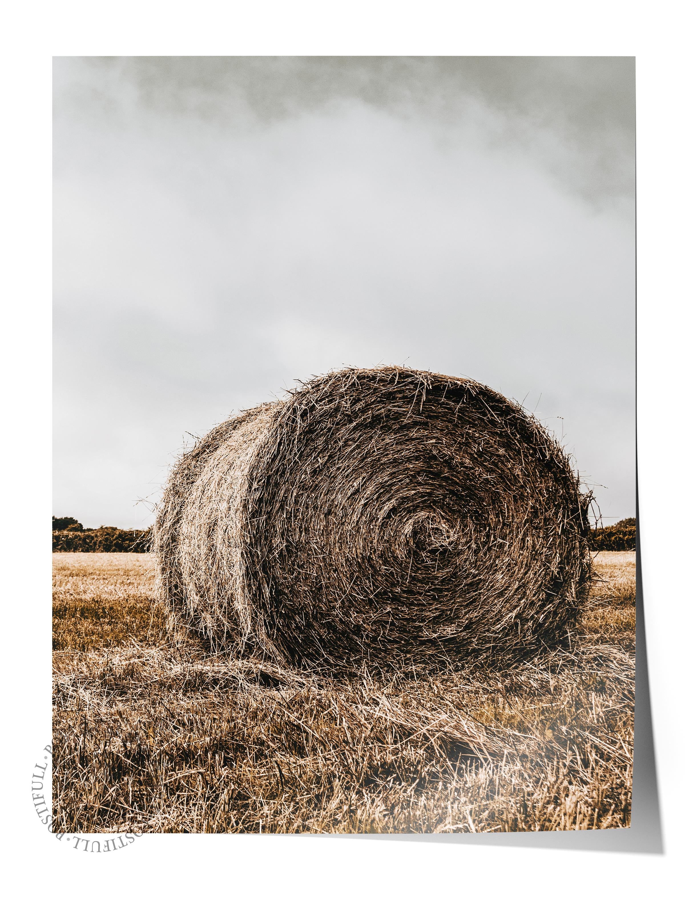 Rustic Çerçevesiz Poster, İskandinav Kahverengi Poster, NO:229 Saman Balyası Fotoğraf, Dikey