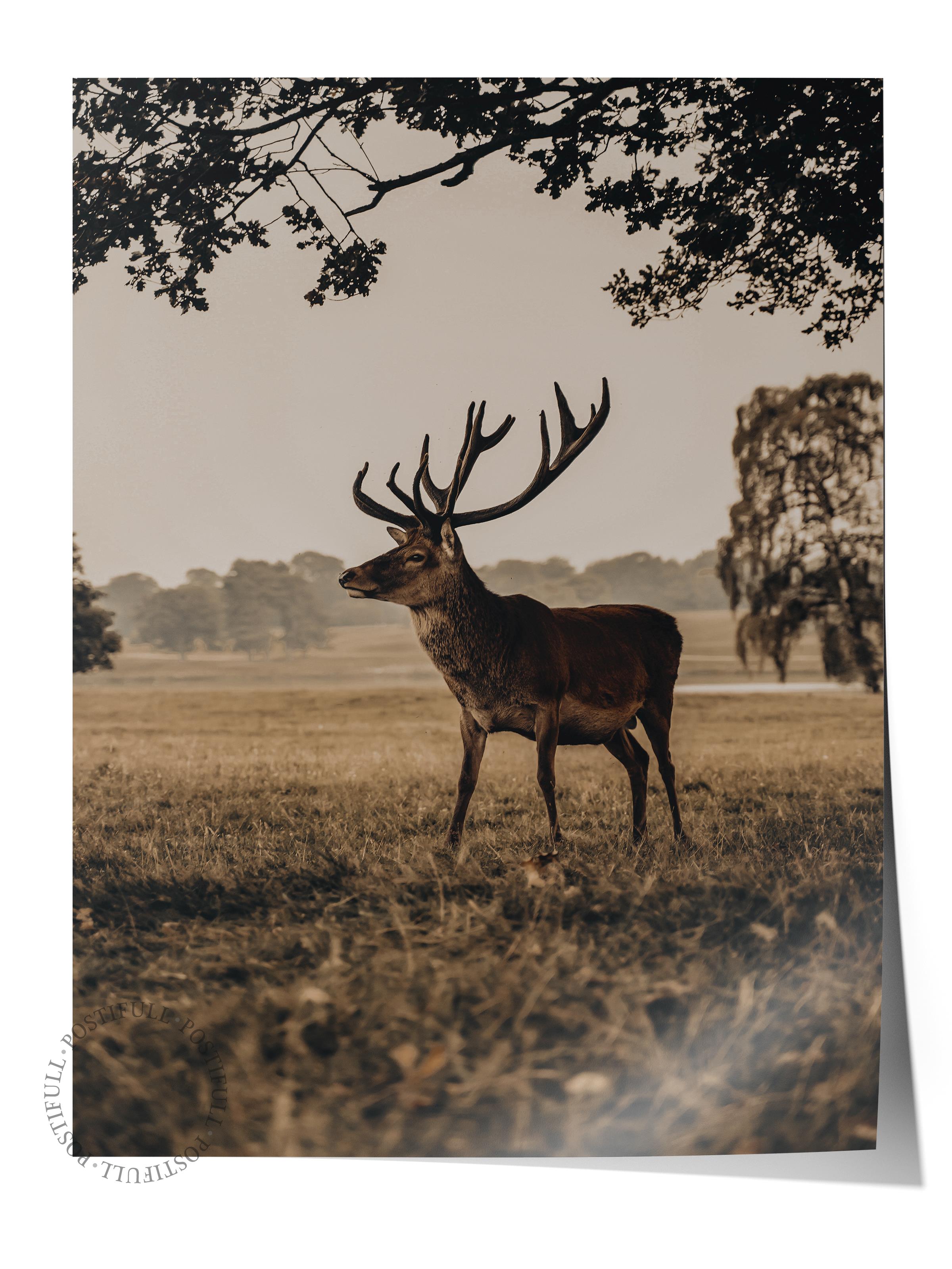 Rustic Çerçevesiz Poster, İskandinav Kahverengi Poster, NO:23 Geyik ve Ağaçlar Fotoğraf, Dikey