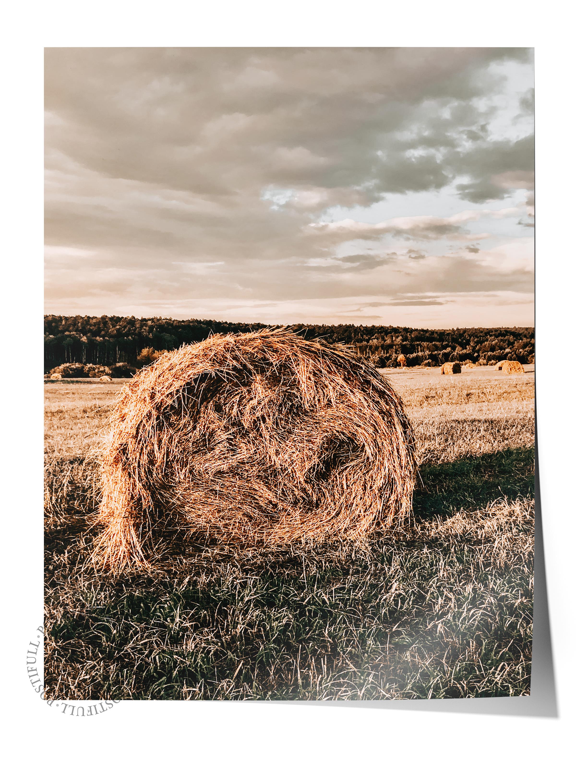 Rustic Çerçevesiz Poster, İskandinav Kahverengi Poster, NO:231 Saman Balyaları Fotoğraf, Dikey
