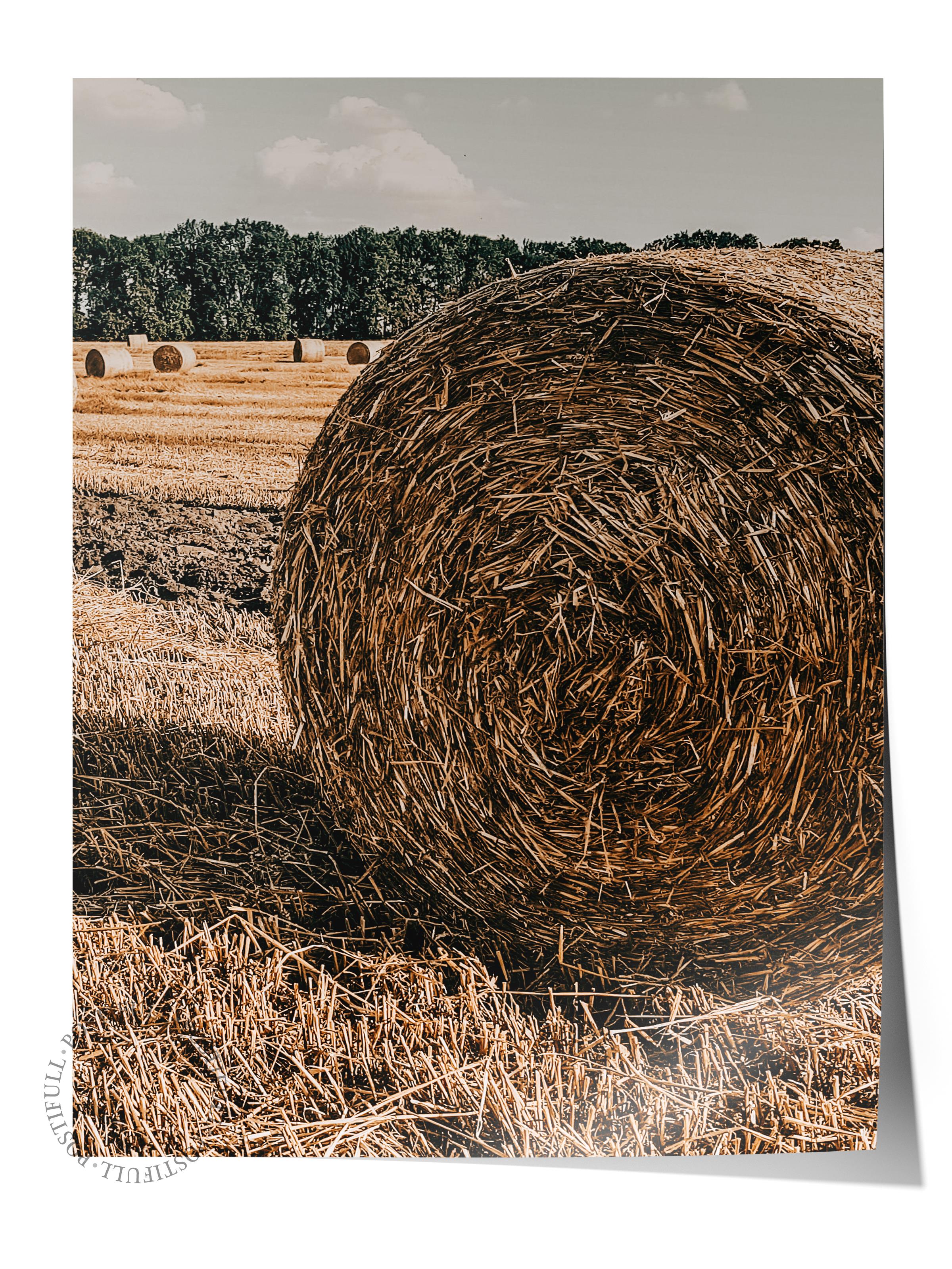 Rustic Çerçevesiz Poster, İskandinav Kahverengi Poster, NO:232 Saman Balyası Yakın Plan Fotoğraf
