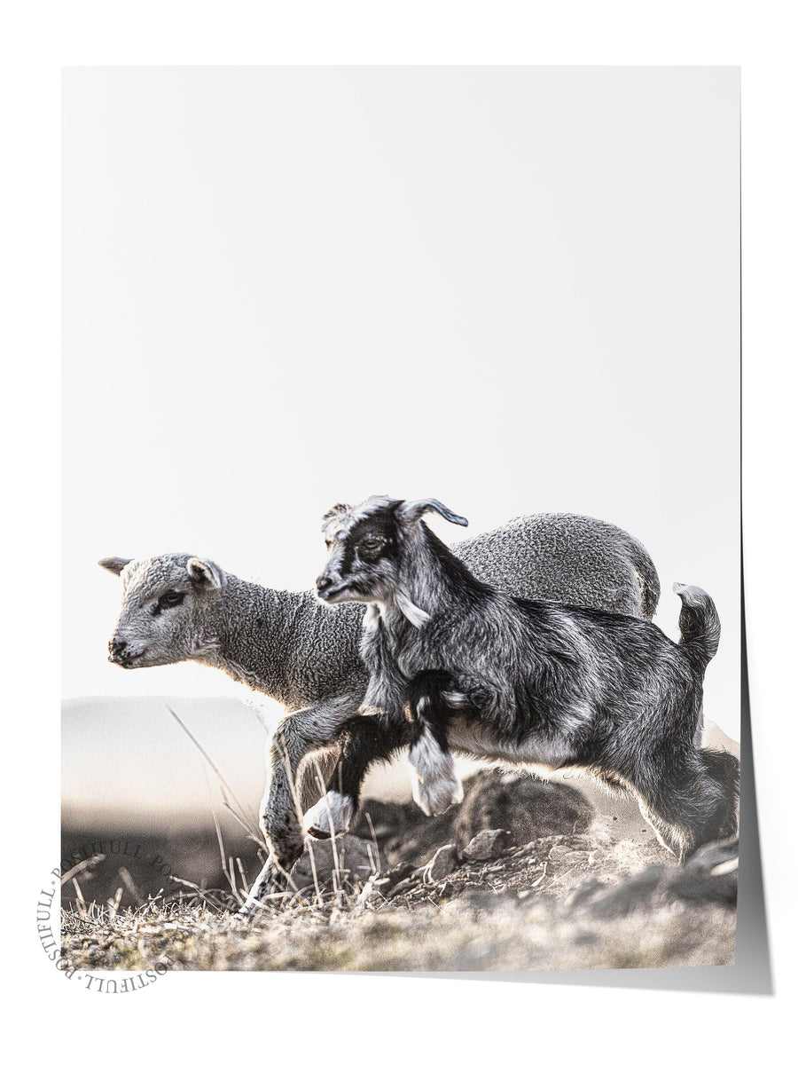 Kuzu ve Keçi Rustic Çerçevesiz Poster