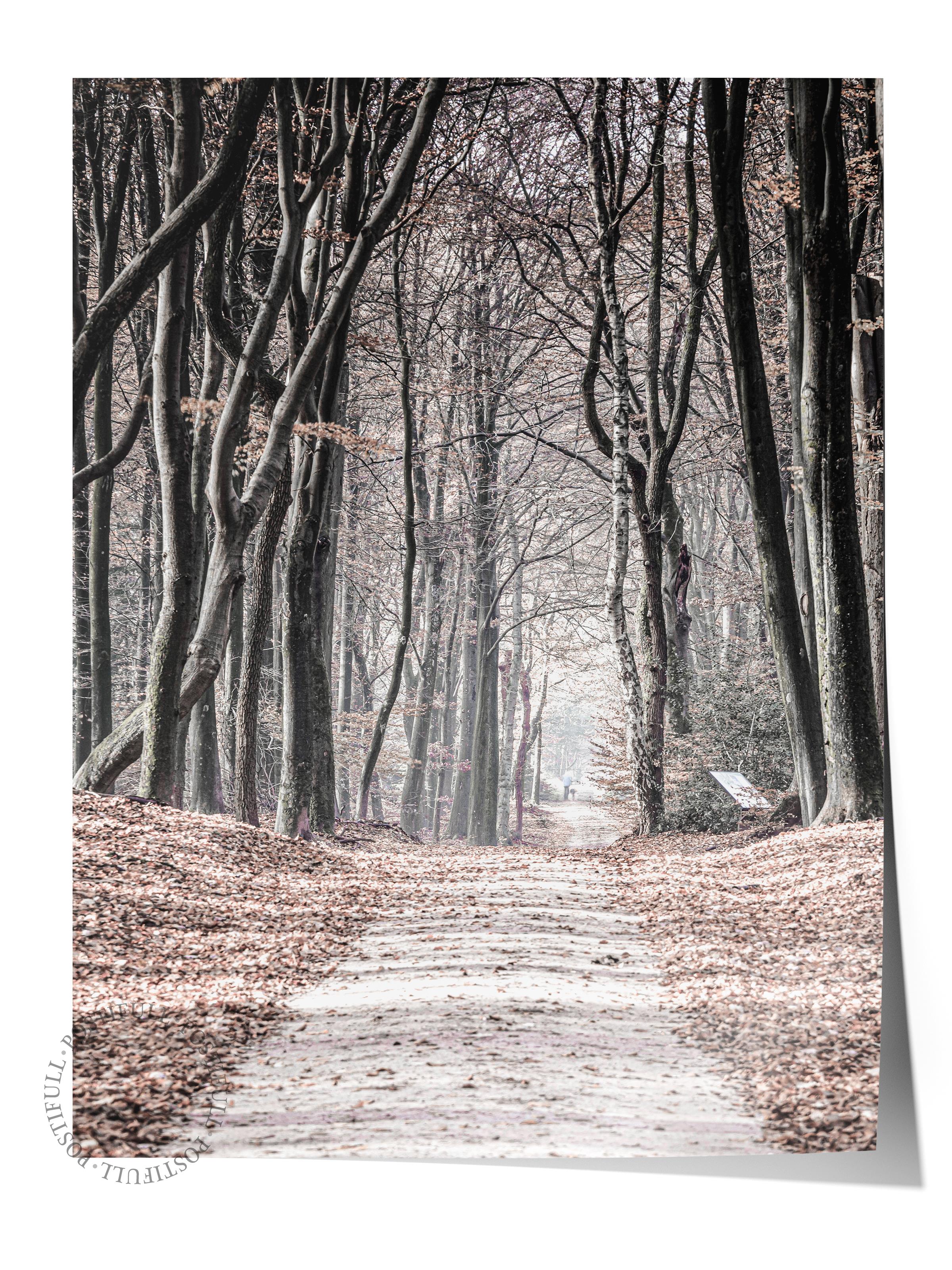 Rustic Çerçevesiz Poster, İskandinav Kahverengi Poster, NO:240 Orman Yolu Fotoğraf, Dikey