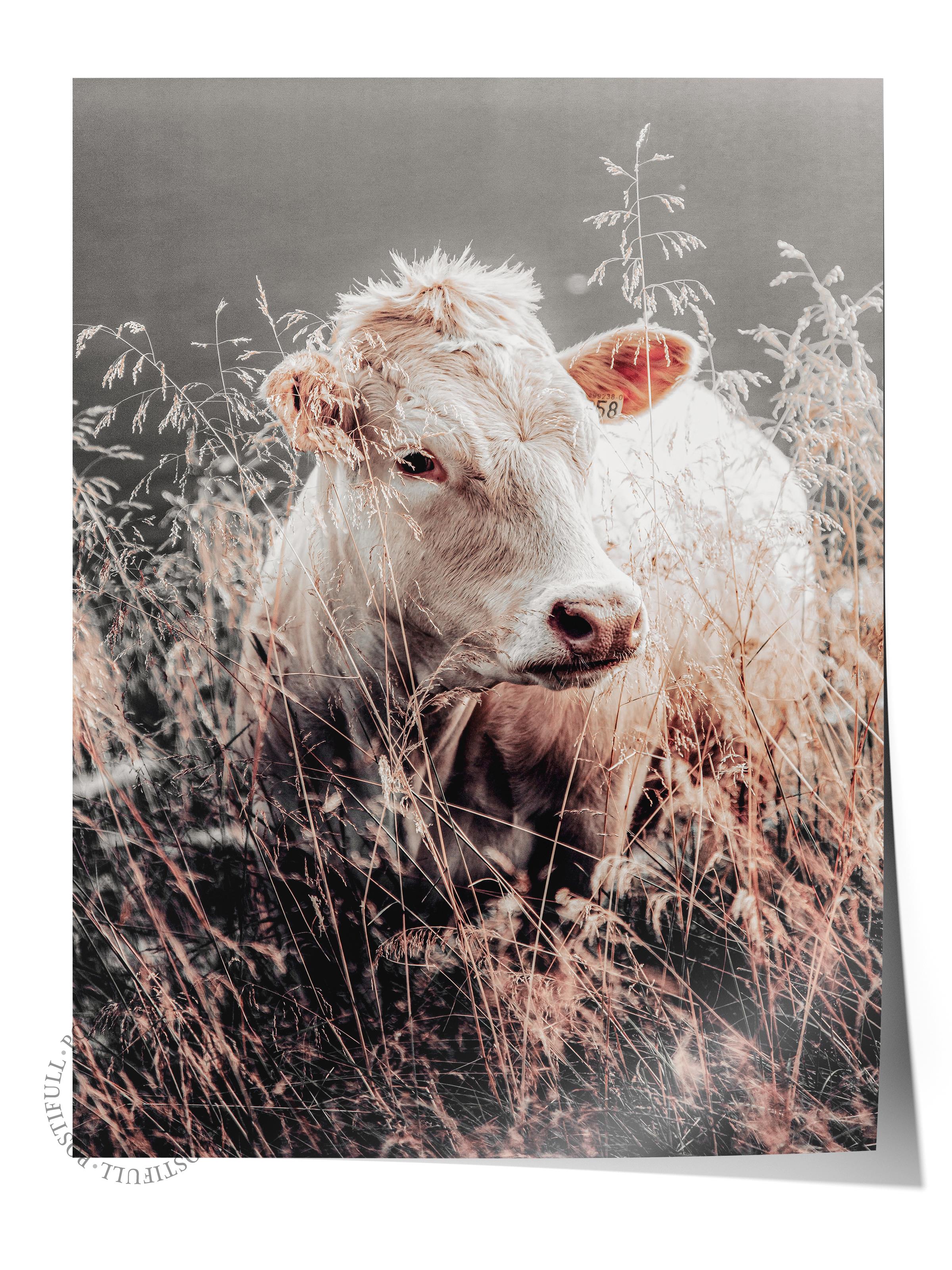 Rustic Çerçevesiz Poster, İskandinav Kahverengi Poster, NO:244 Koyun Fotoğraf, Dikey