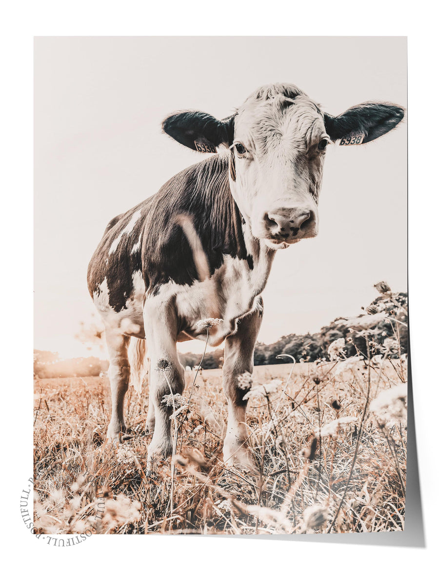 Çayırda İnek Rustic Çerçevesiz Poster