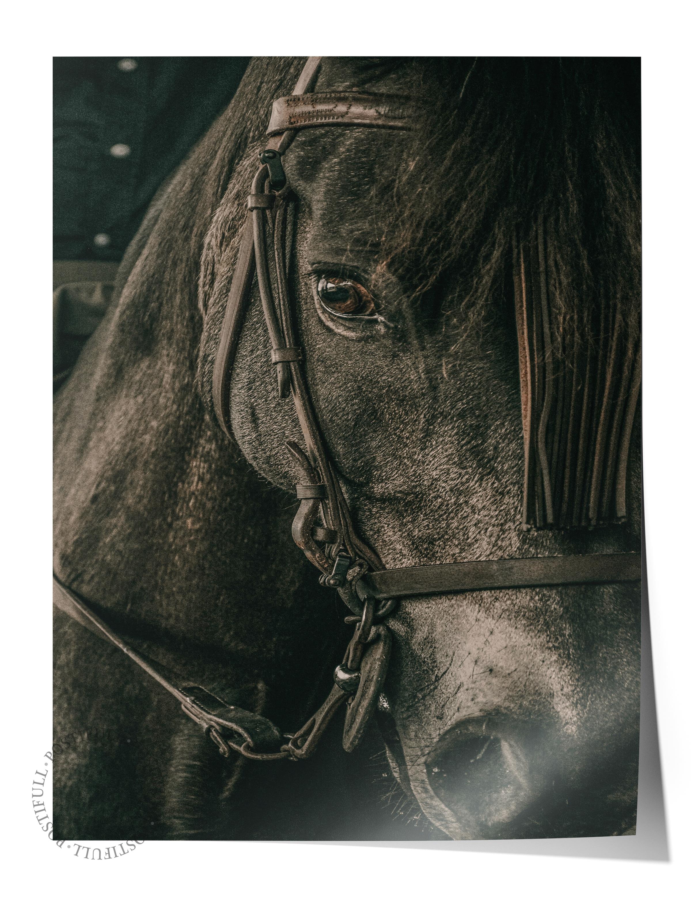 Rustic Çerçevesiz Poster, İskandinav Kahverengi Poster, NO:247 At Yakın Plan Fotoğraf, Dikey