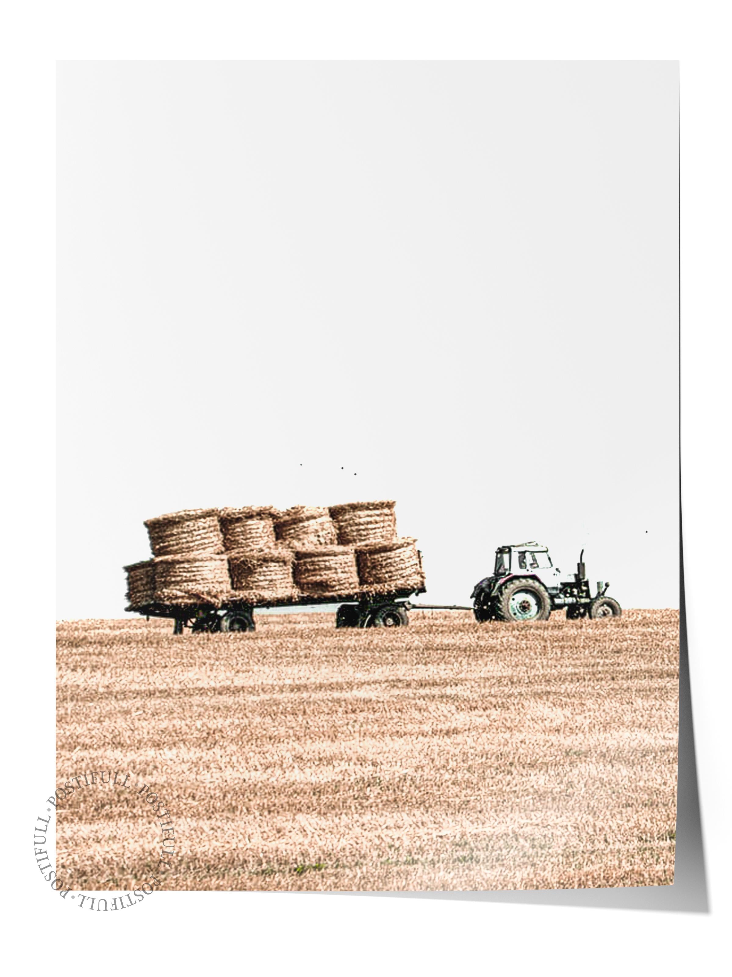 Rustic Çerçevesiz Poster, İskandinav Kahverengi Poster, NO:248 Tarla ve Saman Balyaları Fotoğraf