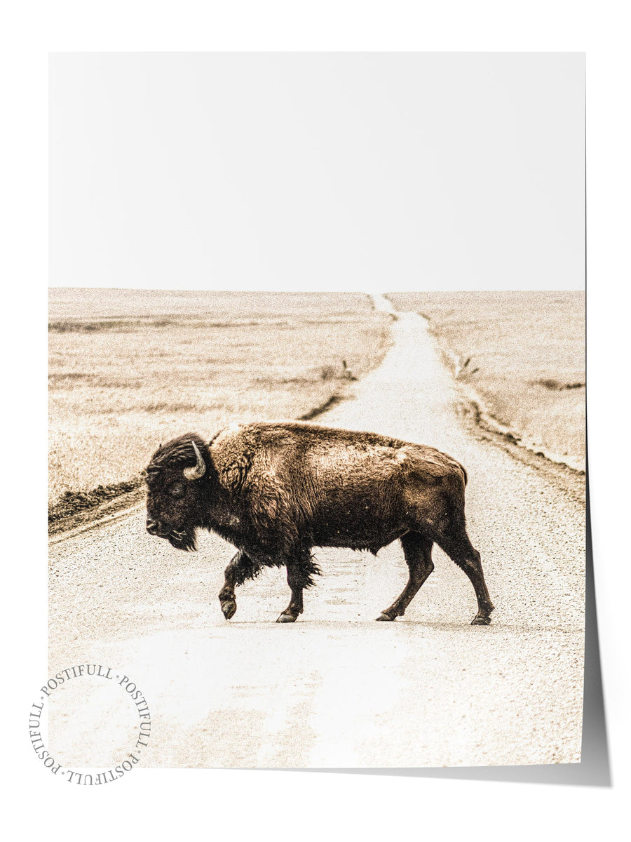 Yolda Yürüyen Bizon Rustic Çerçevesiz Poster