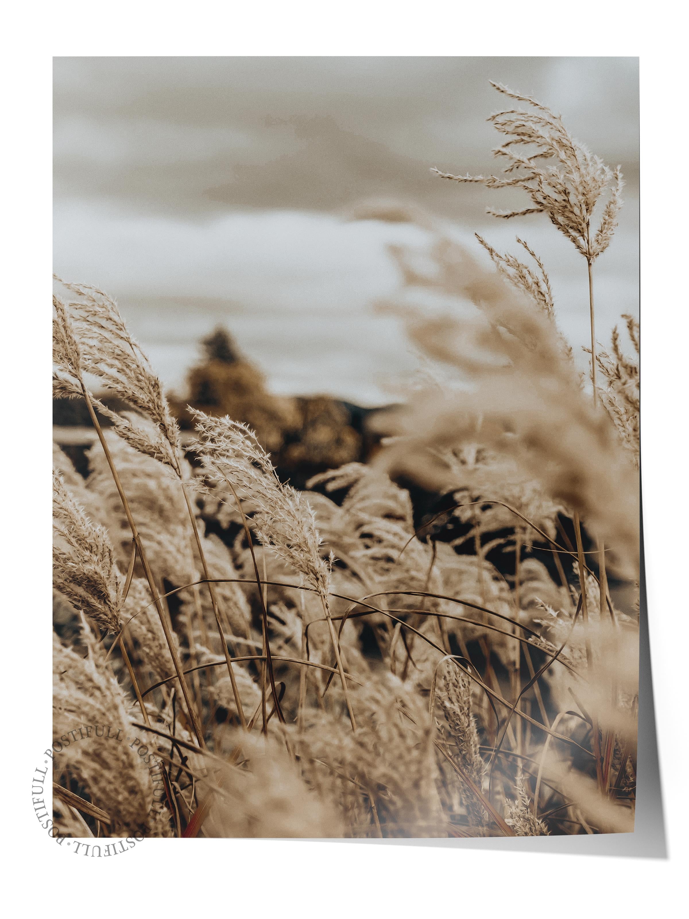 Rustic Çerçevesiz Poster, İskandinav Kahverengi Poster, NO:26 Kuru Otlar Fotoğraf, Dikey