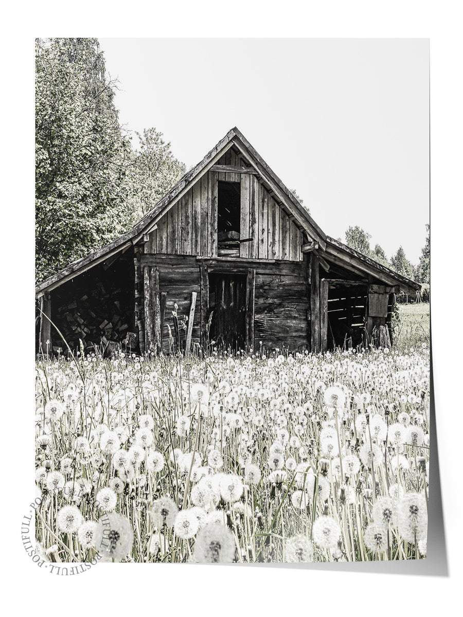 Kır Evi ve Karahindiba Çiçekleri Rustic Çerçevesiz Poster