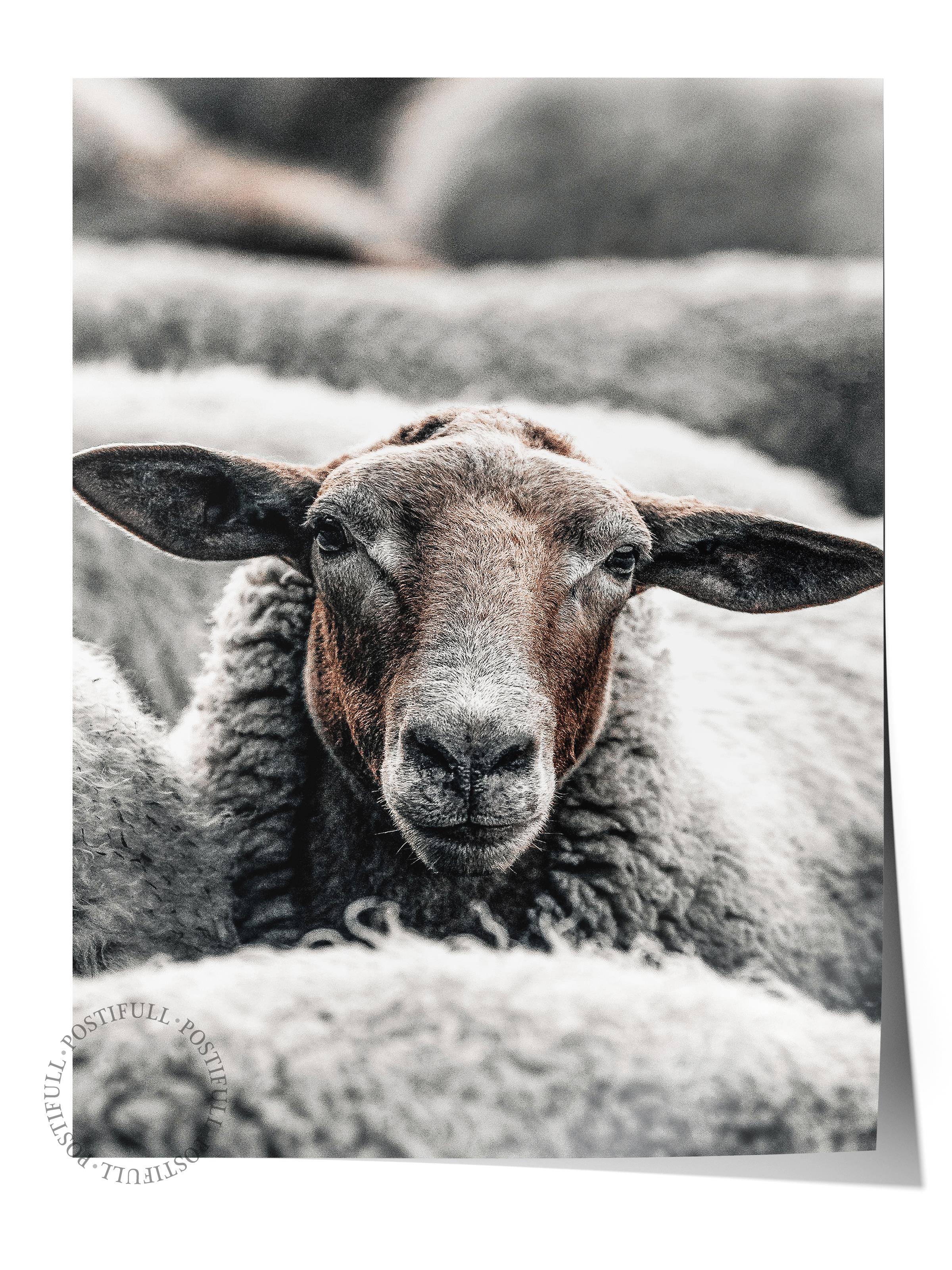 Rustic Çerçevesiz Poster, İskandinav Kahverengi Poster, NO:270 Keçi Fotoğraf, Dikey