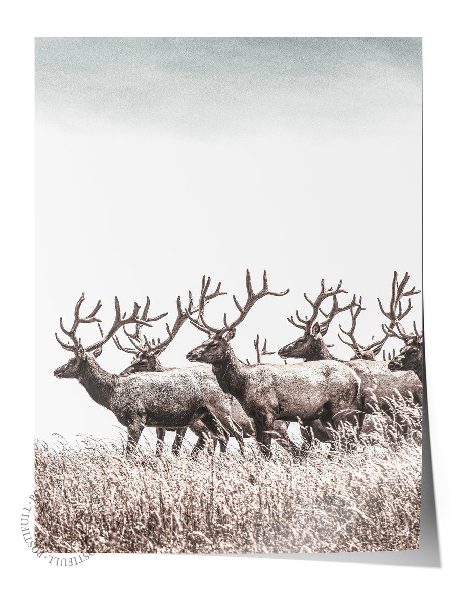 Doğada Geyikler Rustic Çerçevesiz Poster