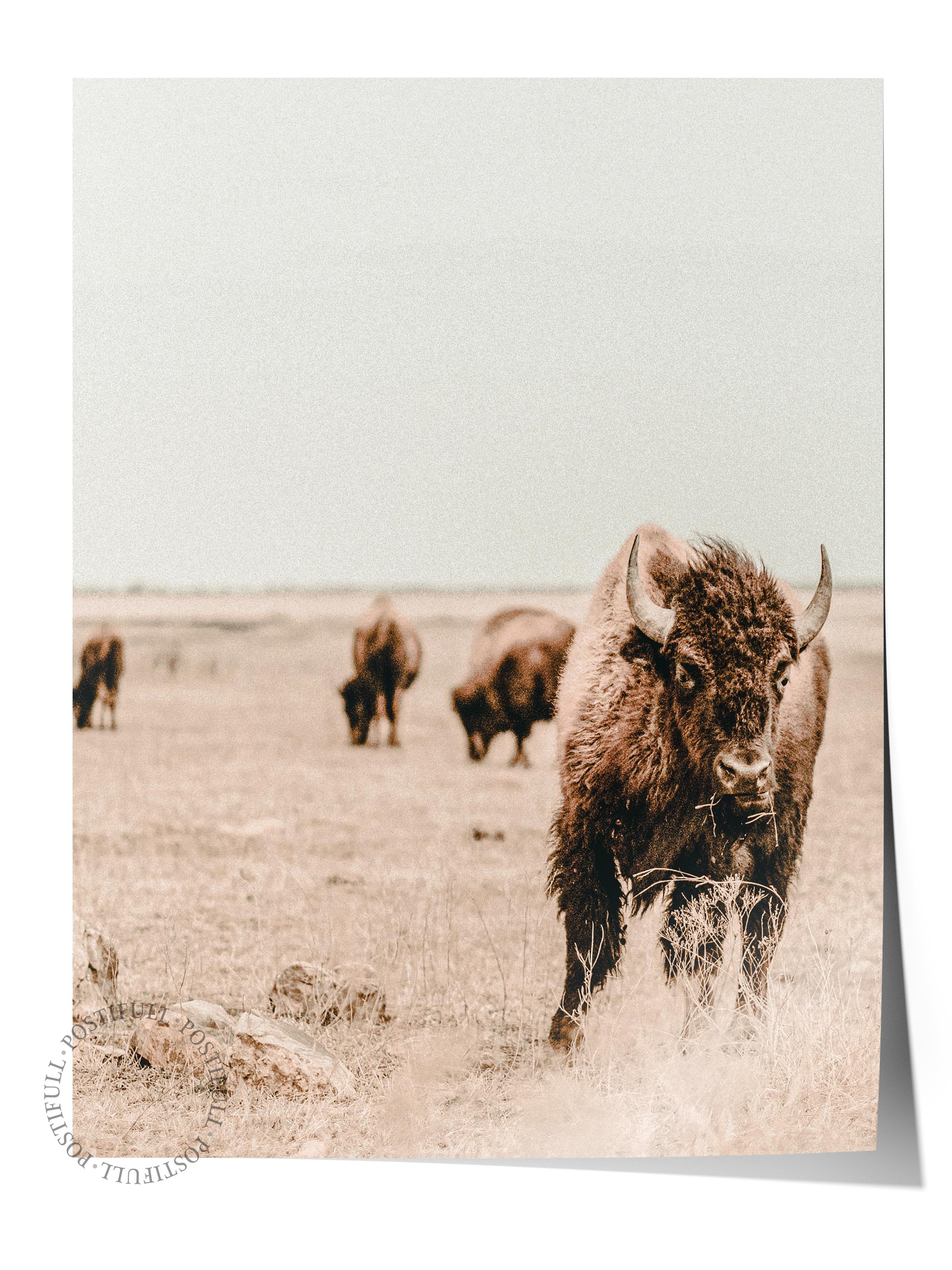 Rustic Çerçevesiz Poster, İskandinav Kahverengi Poster, NO:277 Bufalo Fotoğraf, Dikey