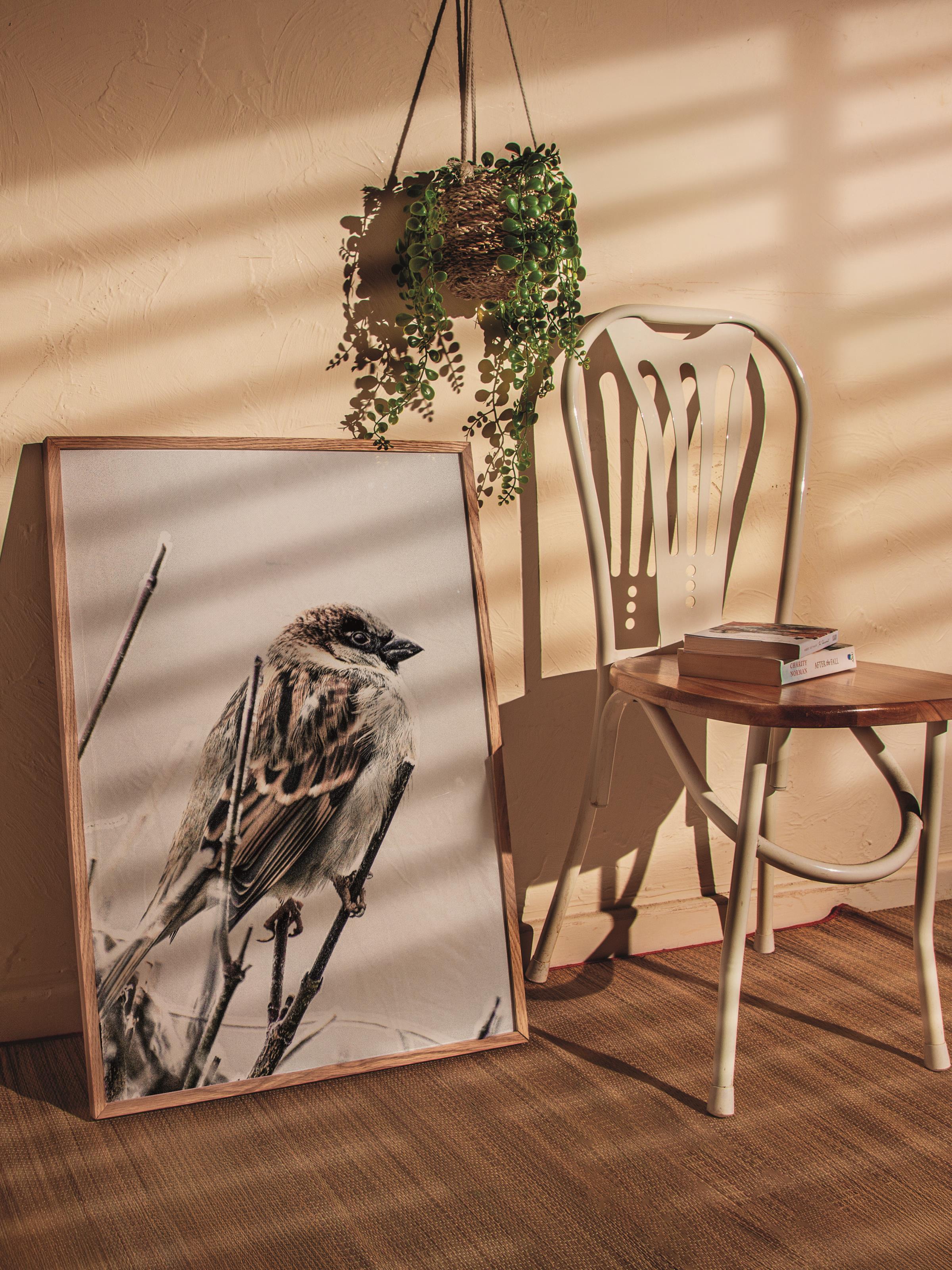 Rustic Çerçevesiz Poster, İskandinav Kahverengi Poster, NO:280 Kuş Fotoğraf, Dikey