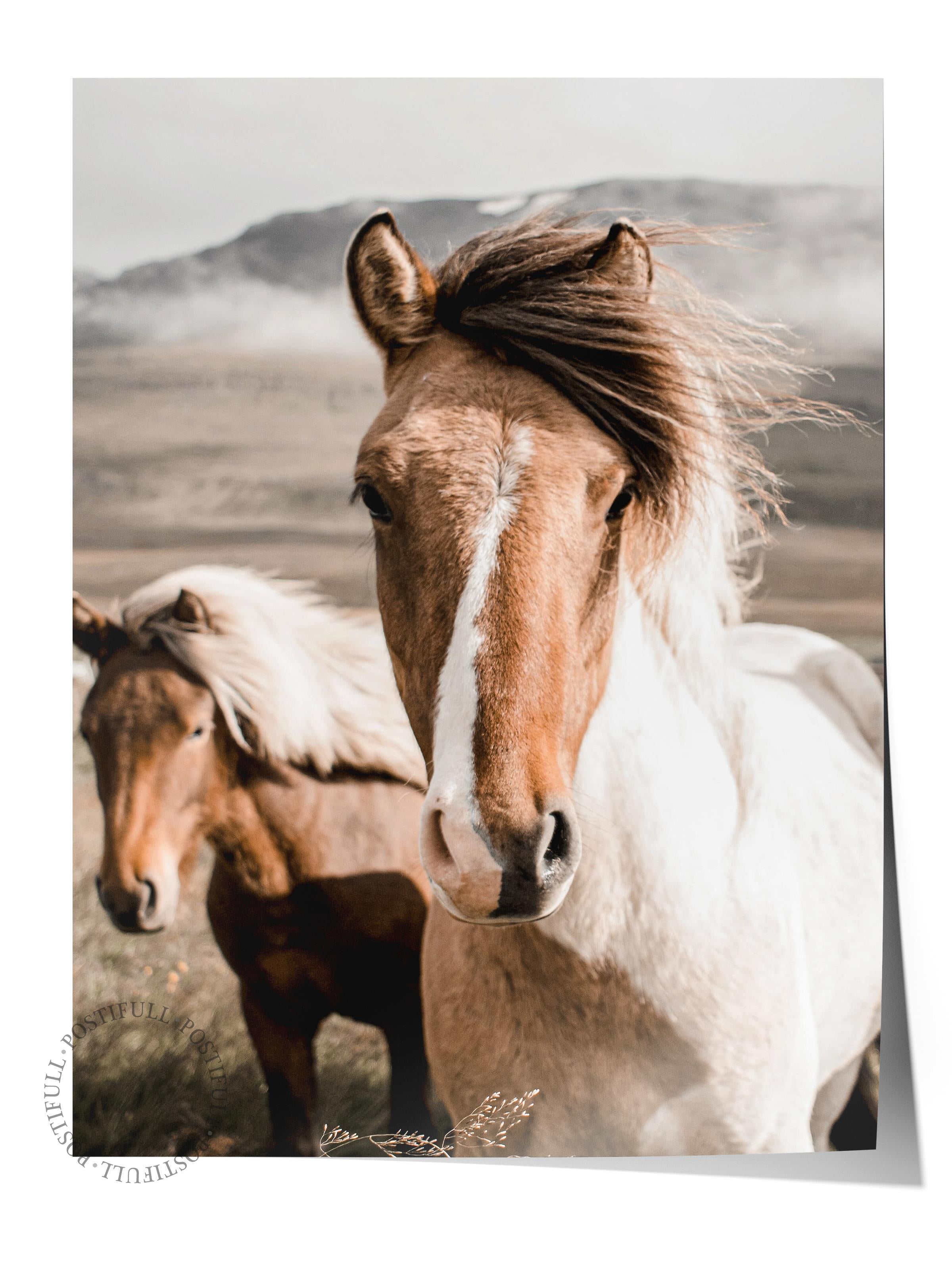 Rustic Çerçevesiz Poster, İskandinav Kahverengi Poster, NO:282 Atlar Fotoğraf, Dikey
