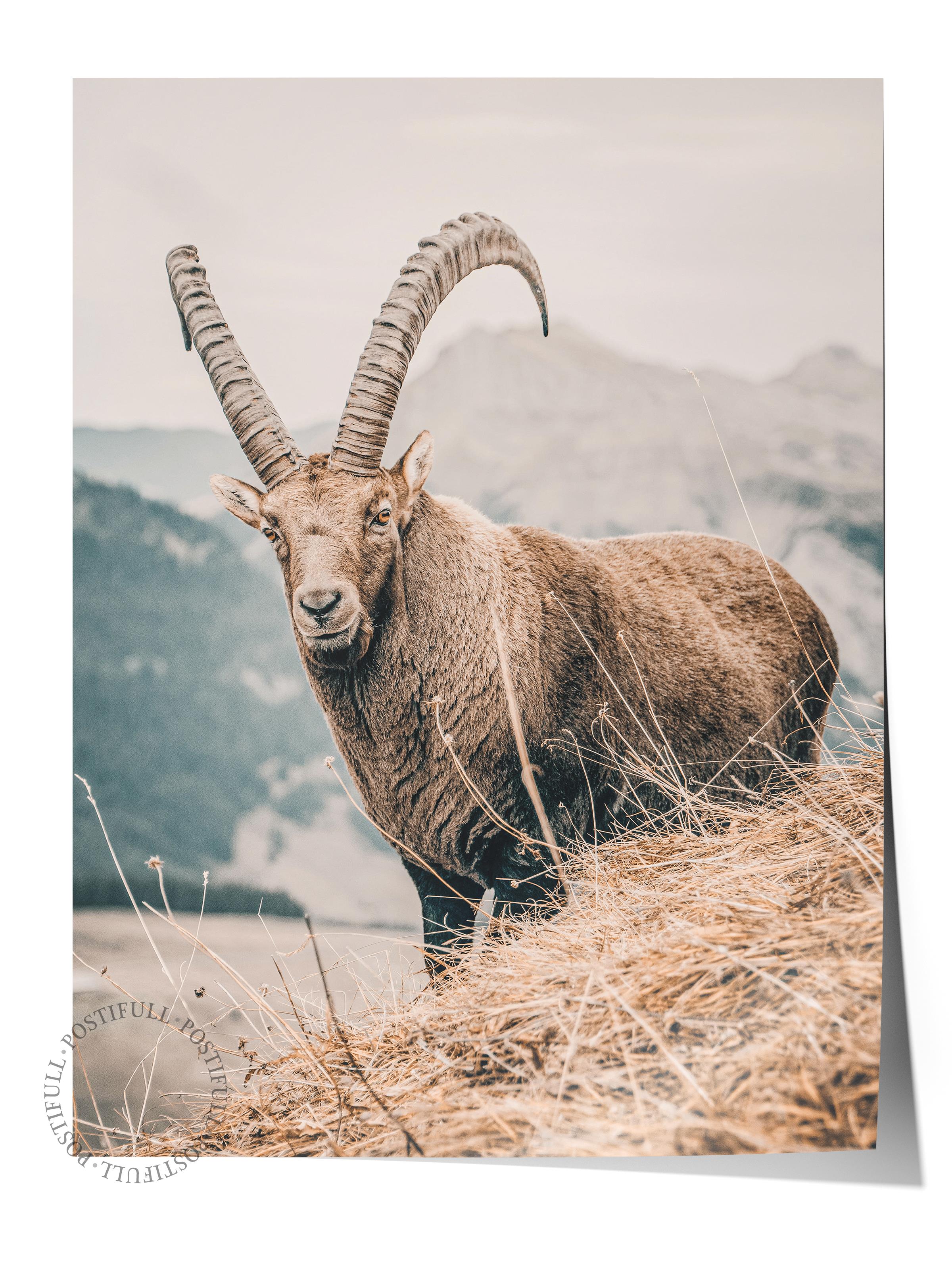 Rustic Çerçevesiz Poster, İskandinav Kahverengi Poster, NO:283 Keçi Fotoğraf, Dikey