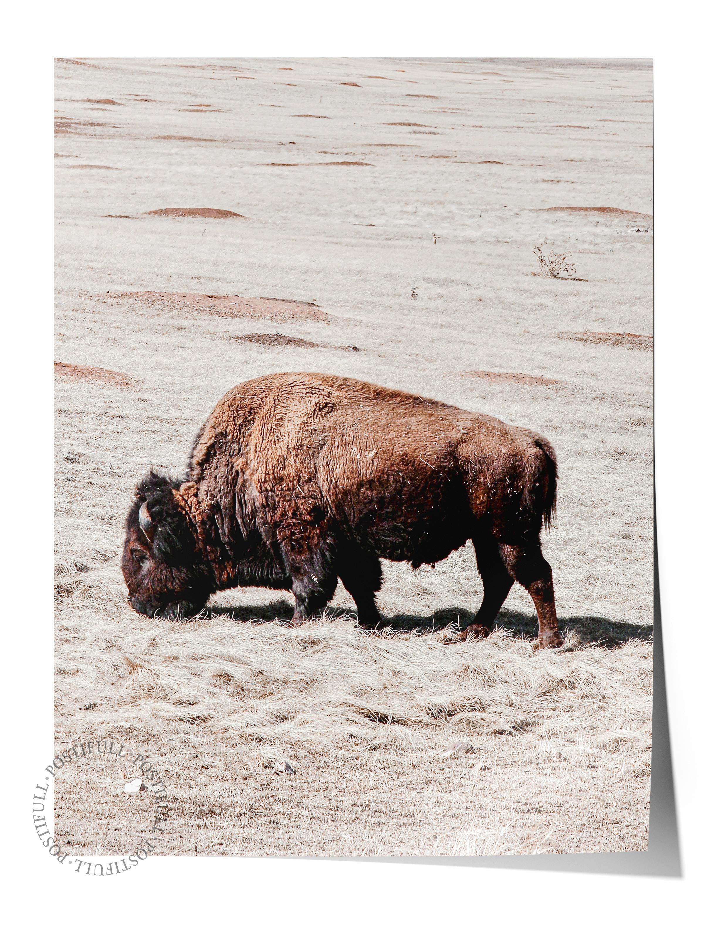 Rustic Çerçevesiz Poster, İskandinav Kahverengi Poster, NO:286 Bufalo Fotoğraf, Dikey