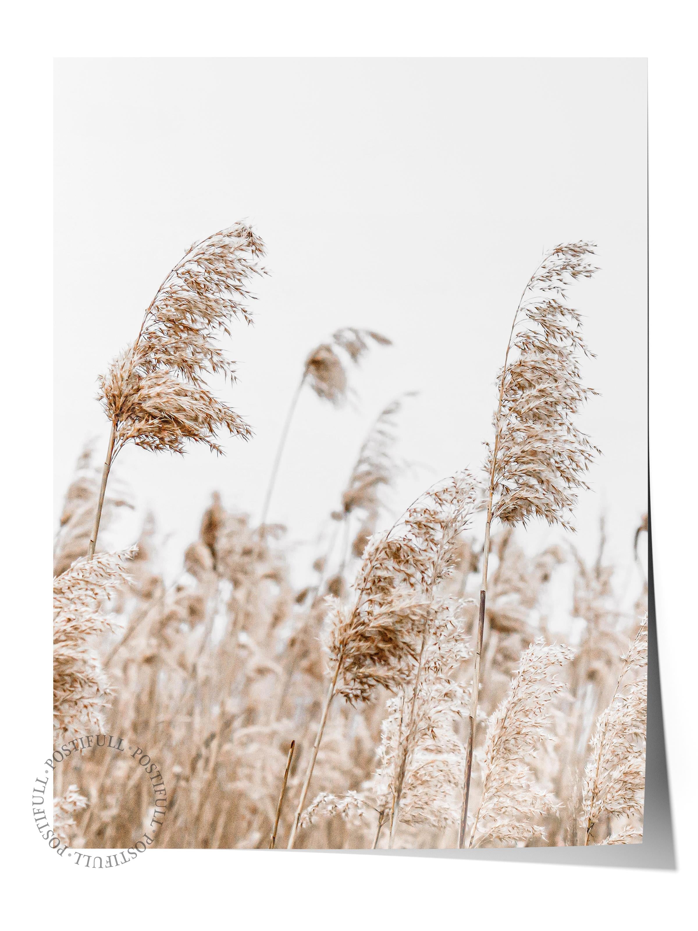 Rustic Çerçevesiz Poster, İskandinav Kahverengi Poster, NO:293 Sazlıklar Fotoğraf, Dikey