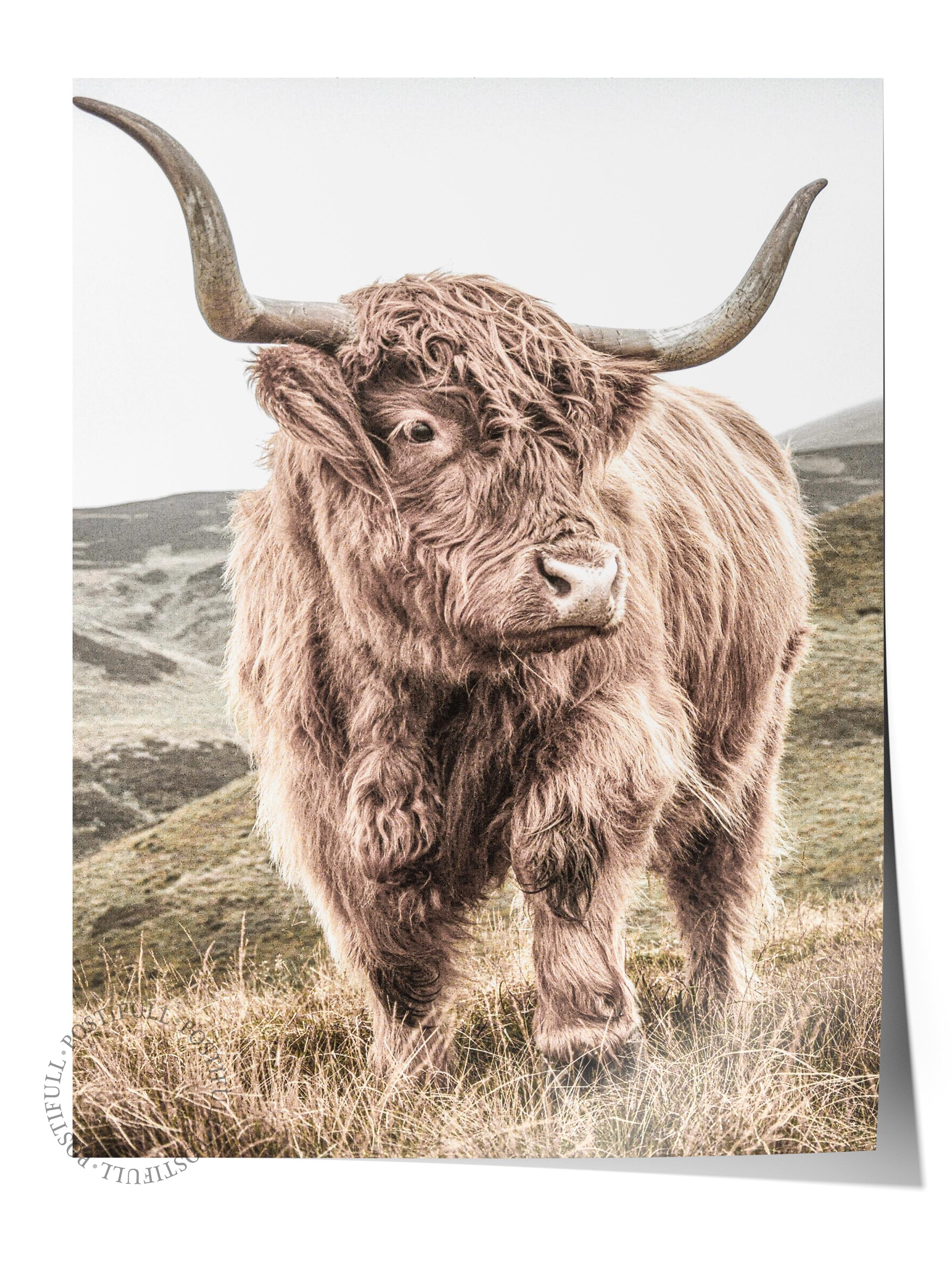 Rustic Çerçevesiz Poster, İskandinav Kahverengi Poster, NO:297 Bufalo Fotoğraf, Dikey