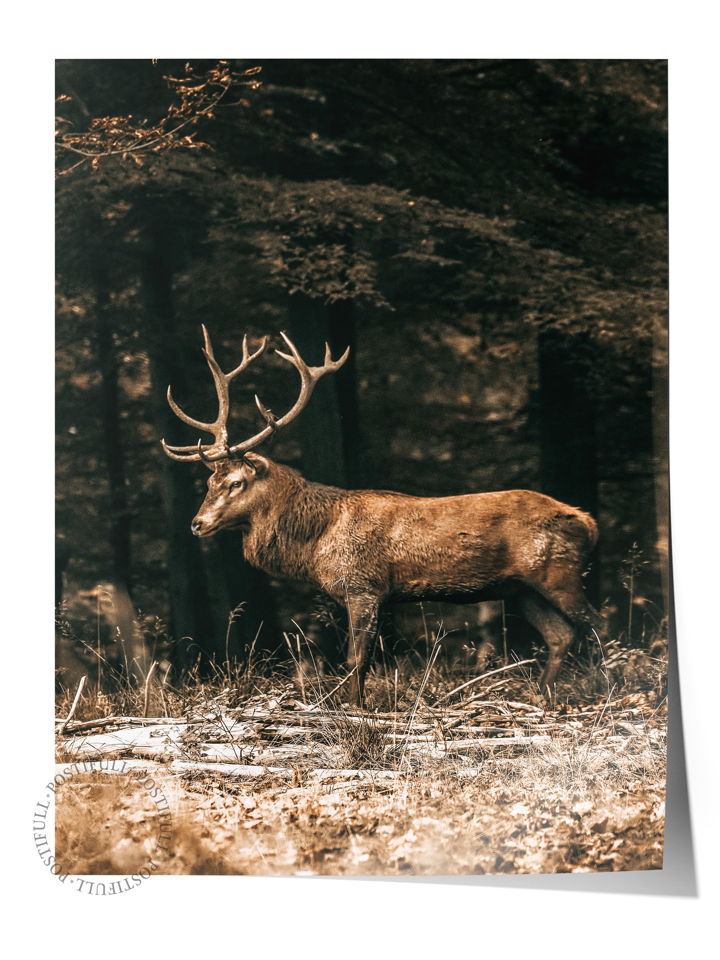 Rustic Çerçevesiz Poster, İskandinav Kahverengi Poster, NO:3 Geyik Fotoğraf, Dikey