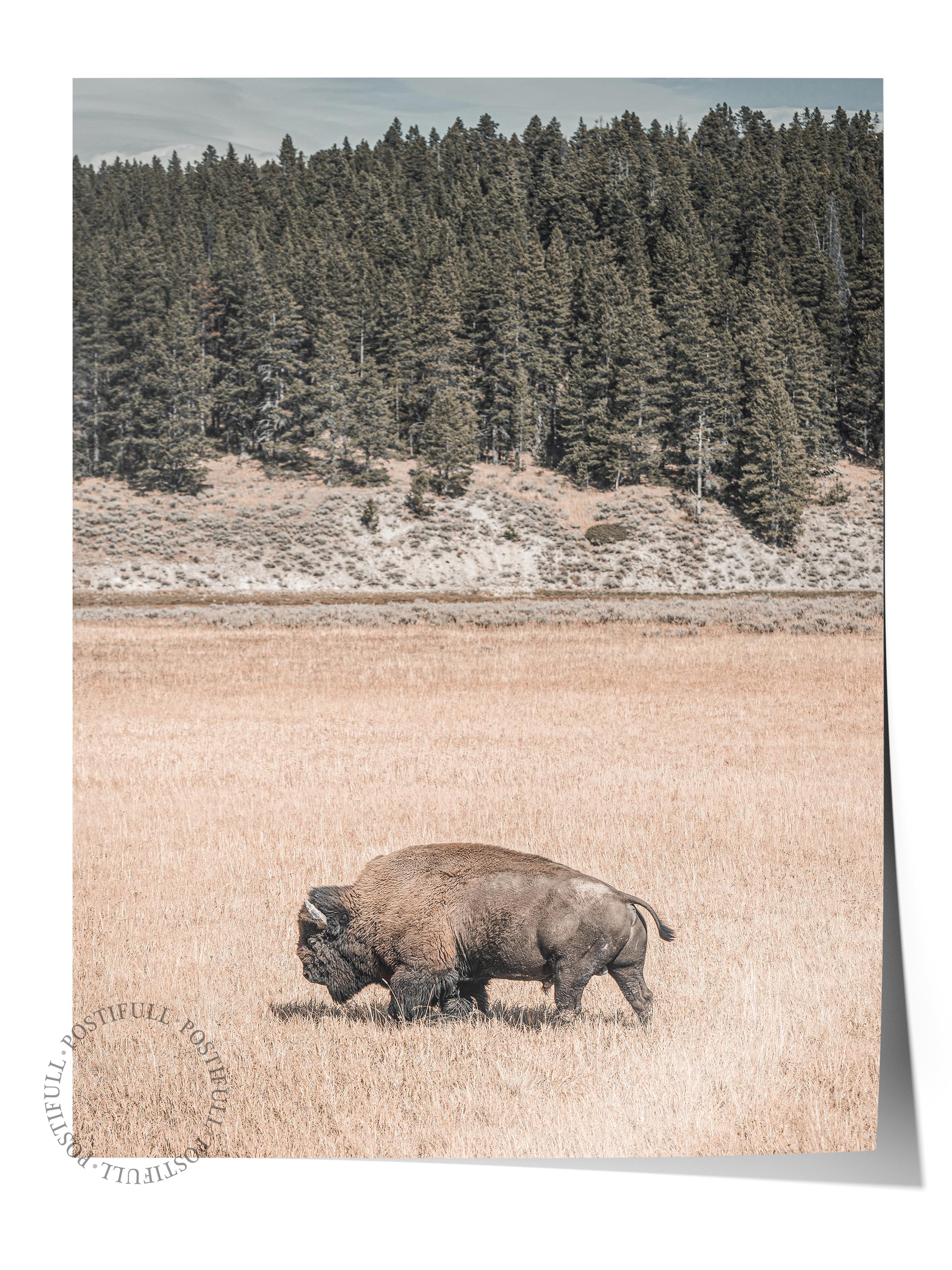 Rustic Çerçevesiz Poster, İskandinav Kahverengi Poster, NO:303 Bufalo Fotoğraf, Dikey