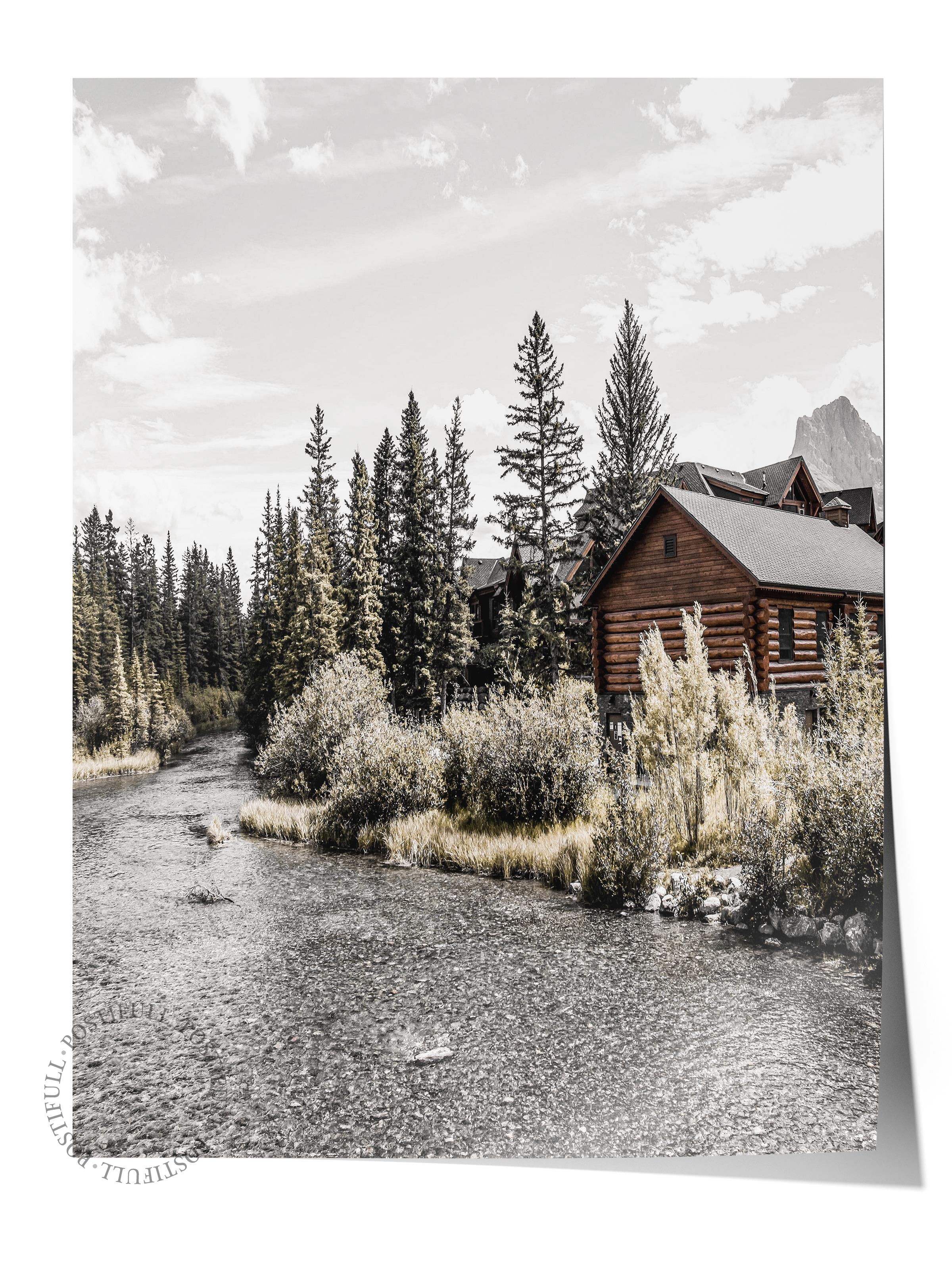 Rustic Çerçevesiz Poster, İskandinav Kahverengi Poster, NO:323 Orman Yolu Fotoğraf, Dikey