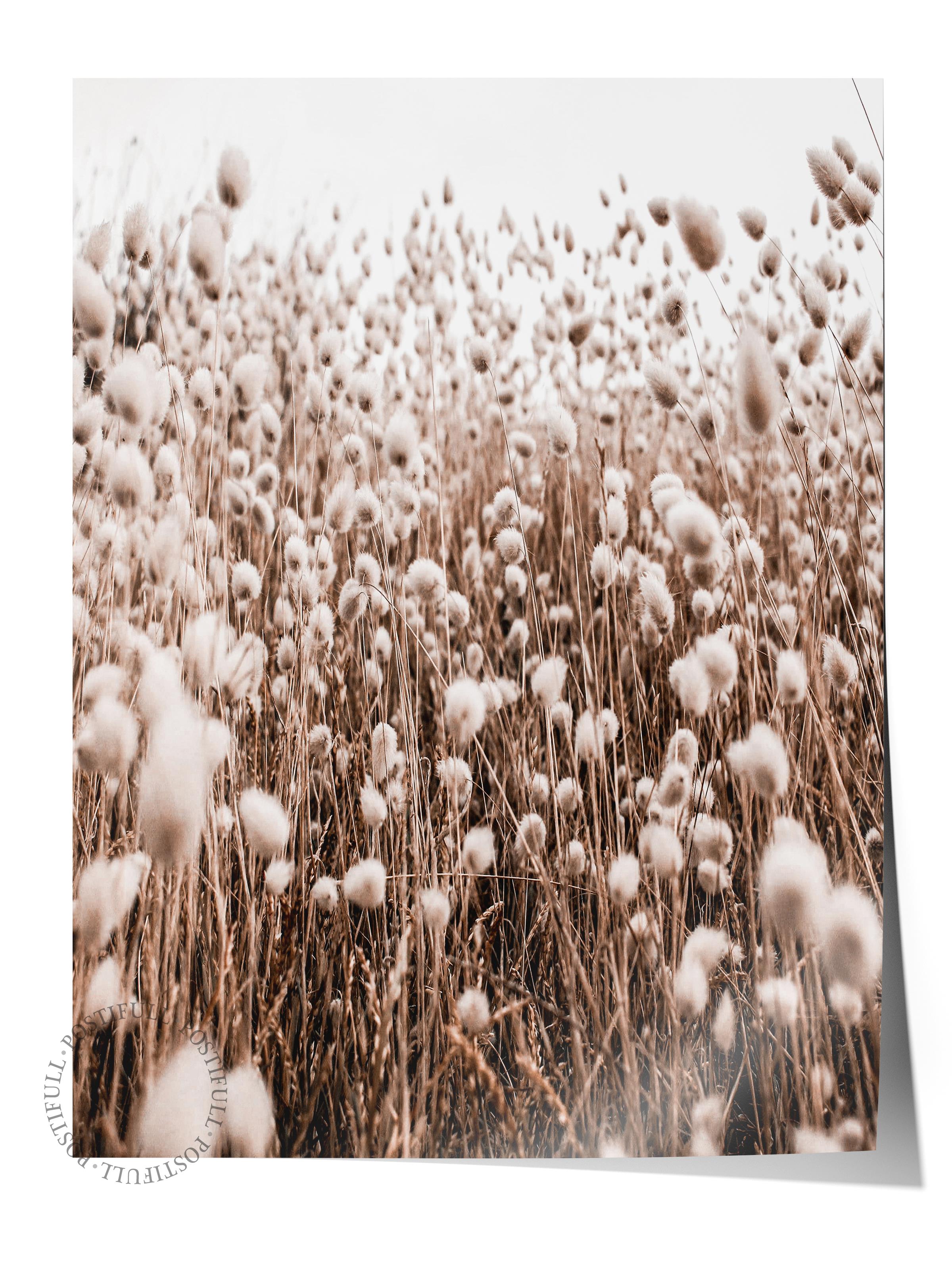 Rustic Çerçevesiz Poster, İskandinav Kahverengi Poster, NO:326 Buğday Tarlası Fotoğraf, Dikey