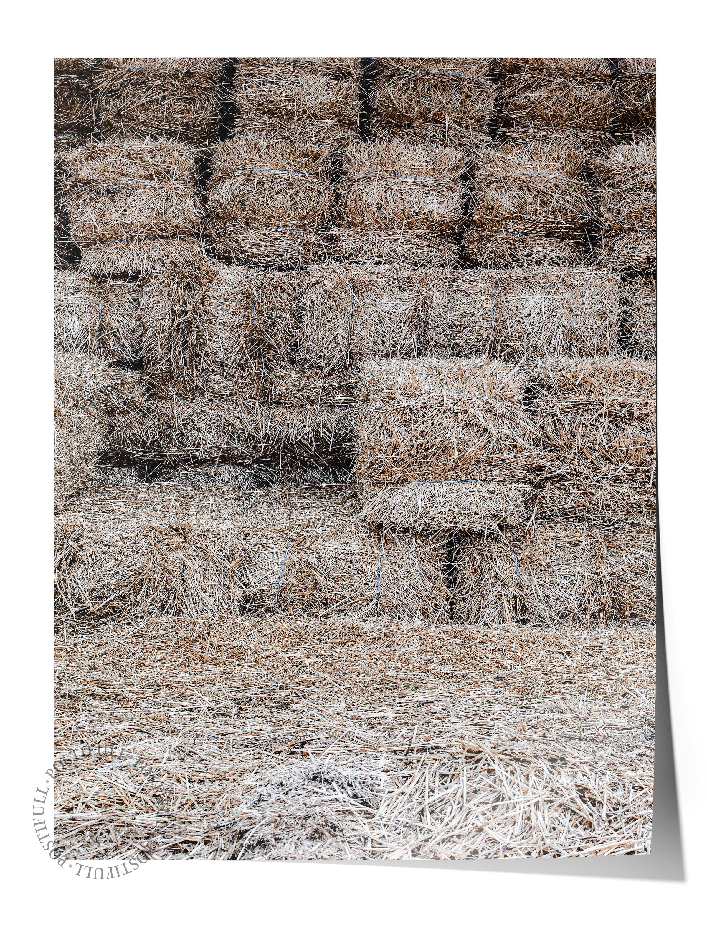 Rustic Çerçevesiz Poster, İskandinav Kahverengi Poster, NO:339 Saman Balyaları Fotoğraf, Dikey