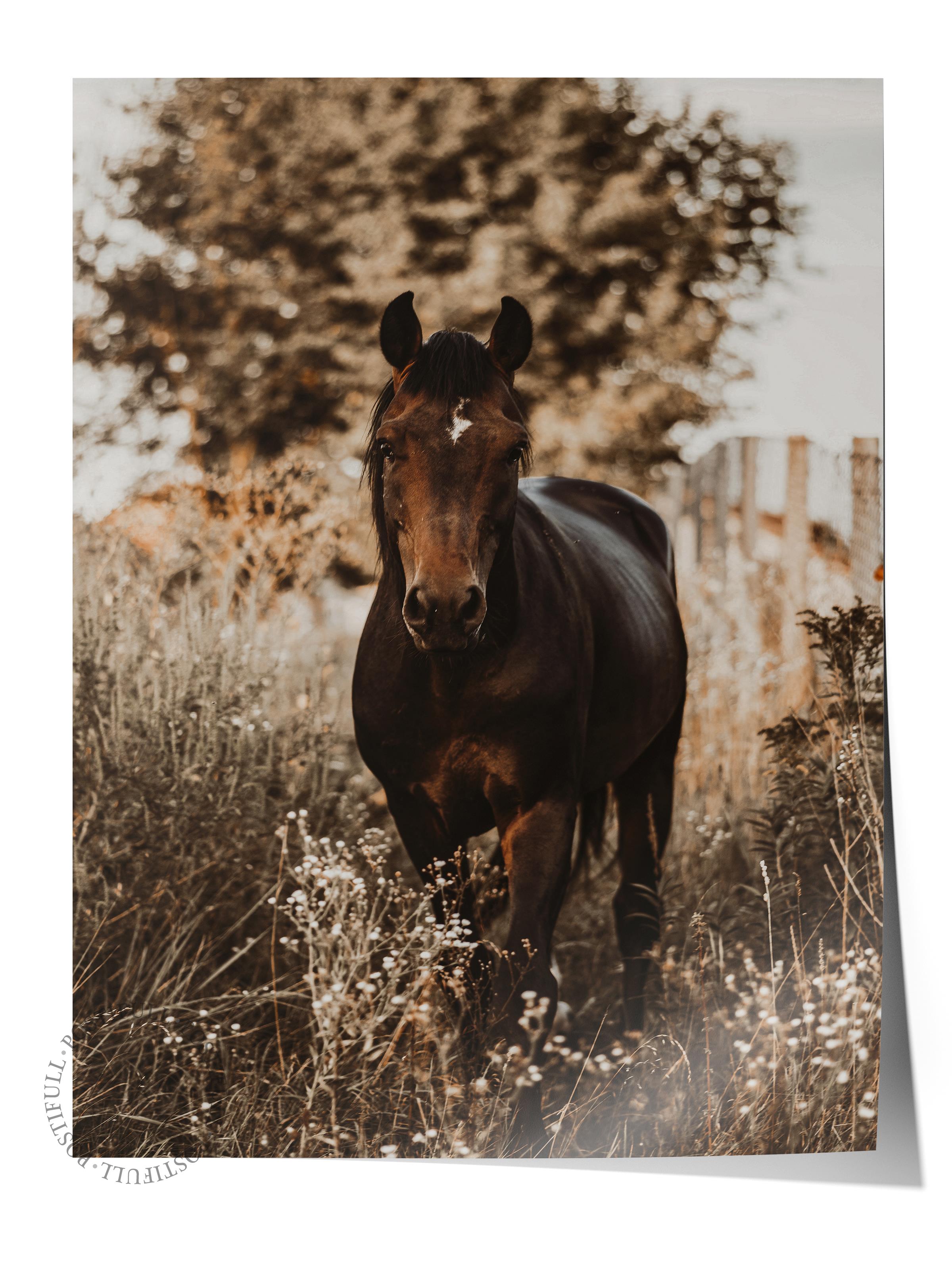 Rustic Çerçevesiz Poster, İskandinav Kahverengi Poster, NO:34 At Fotoğraf, Dikey