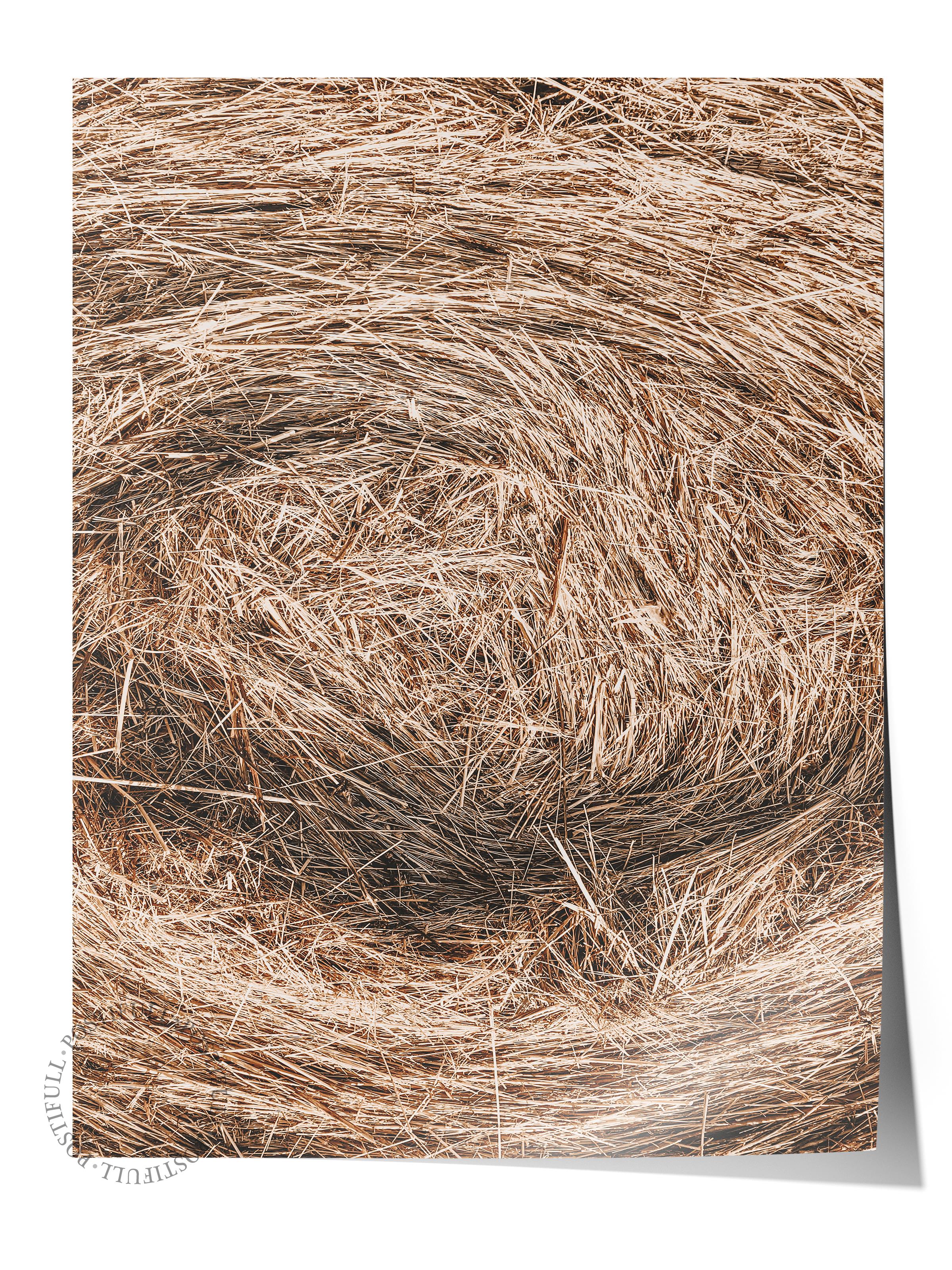 Rustic Çerçevesiz Poster, İskandinav Kahverengi Poster, NO:344 Saman Balyası Fotoğraf, Dikey