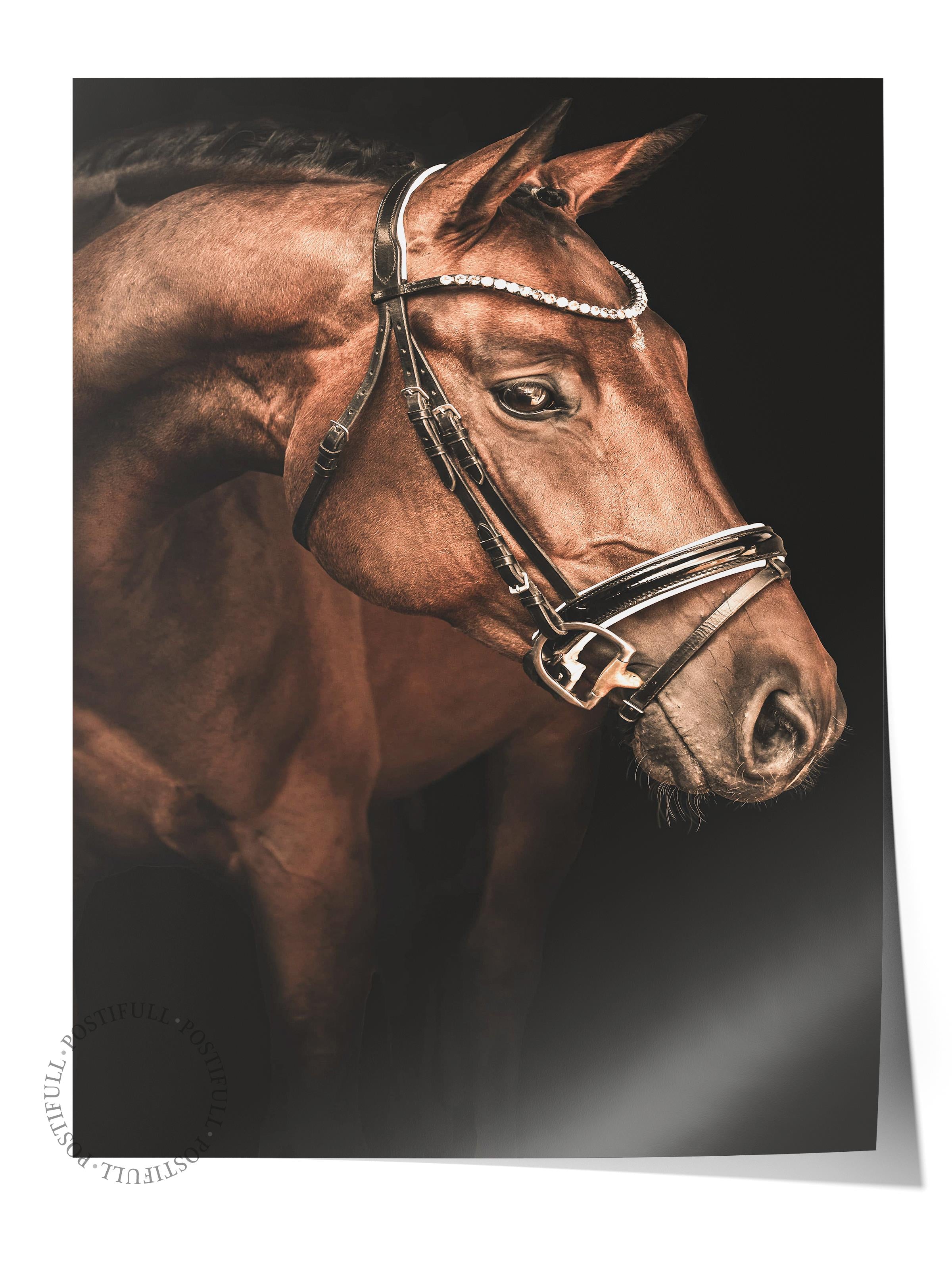 Rustic Çerçevesiz Poster, İskandinav Kahverengi Poster, NO:346 At Fotoğraf, Dikey