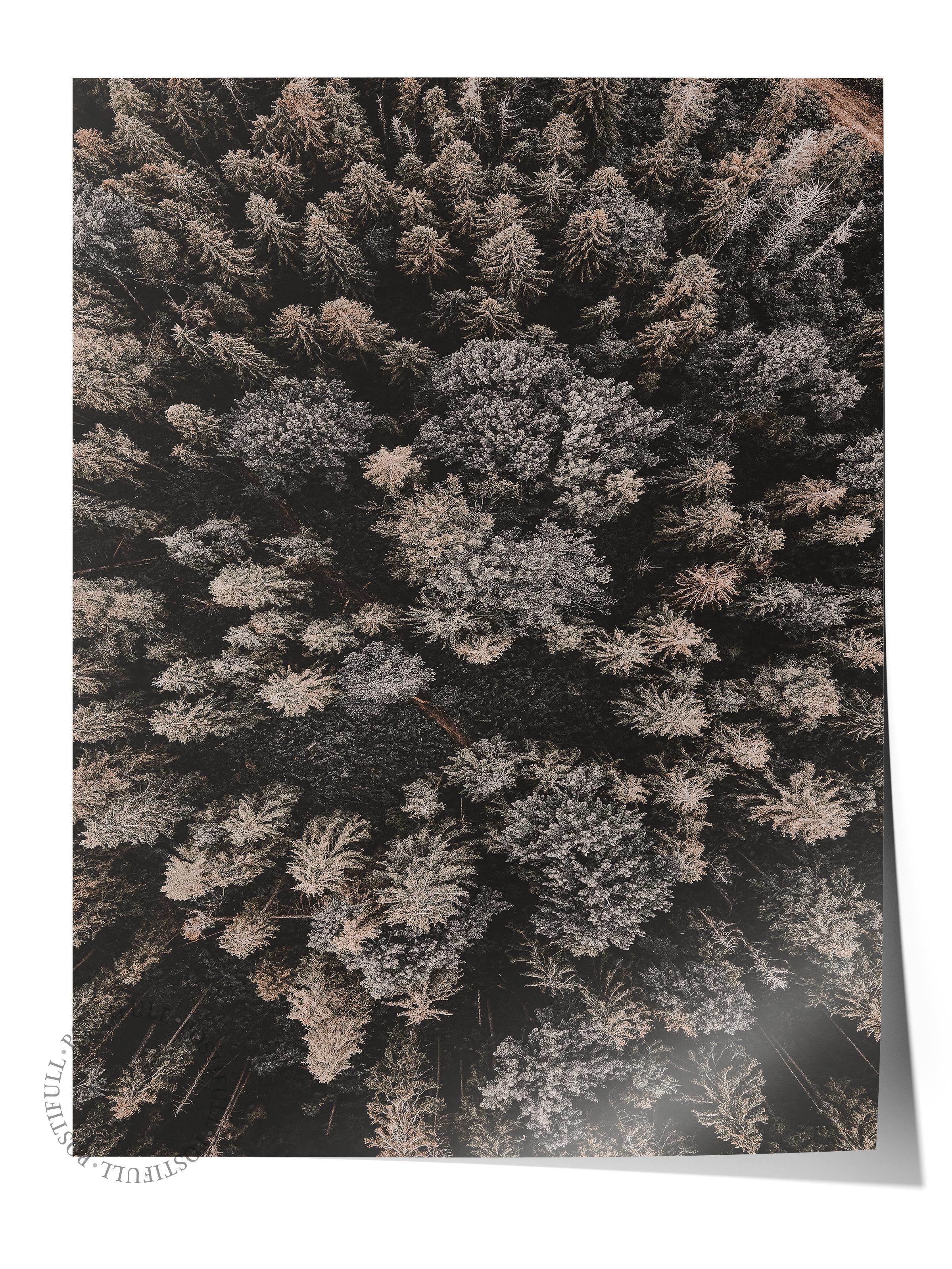 Rustic Çerçevesiz Poster, İskandinav Kahverengi Poster, NO:351 Otlar Fotoğraf, Dikey
