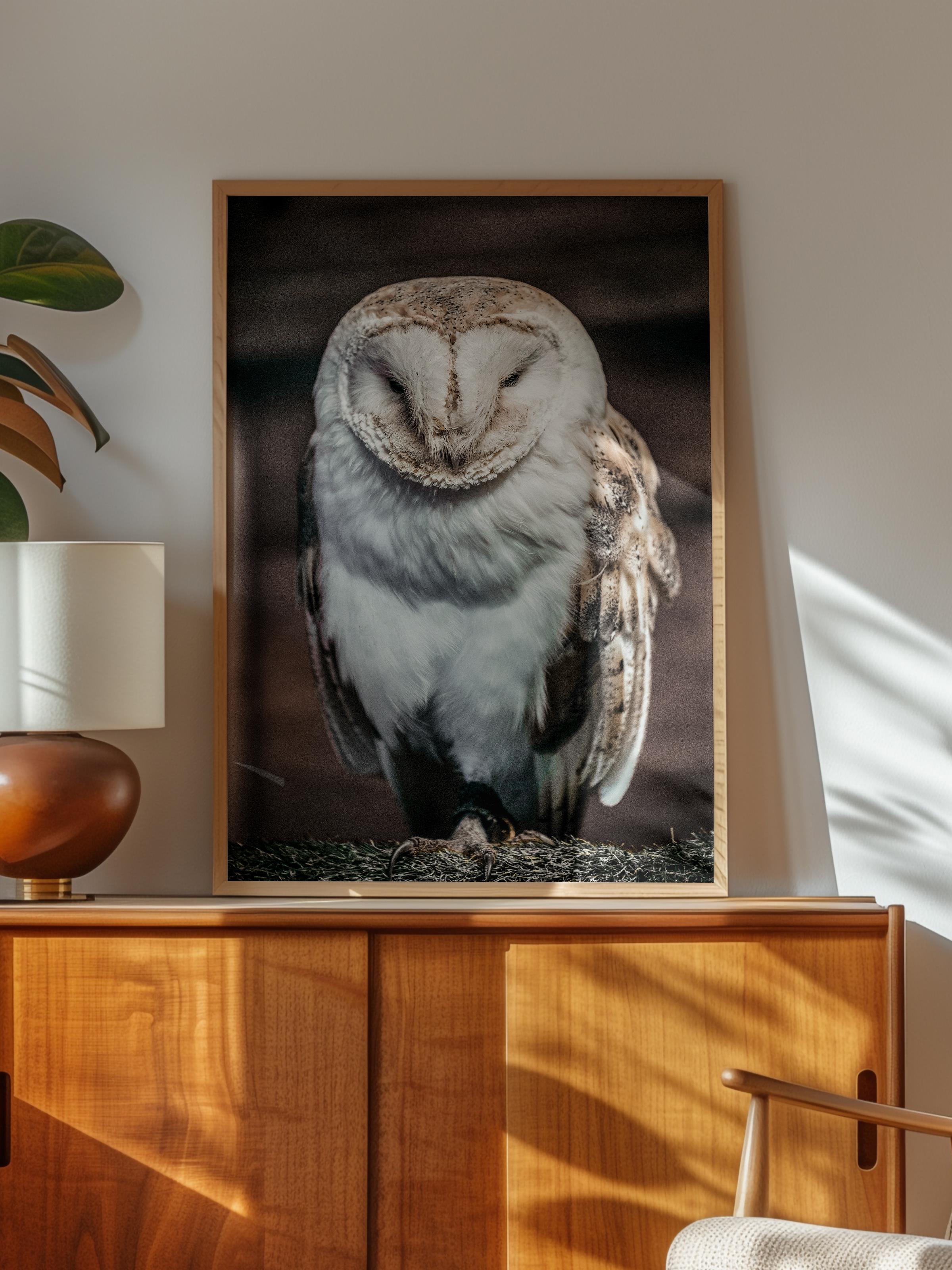 Rustic Çerçevesiz Poster, İskandinav Kahverengi Poster, NO:358 Baykuş Fotoğraf, Dikey