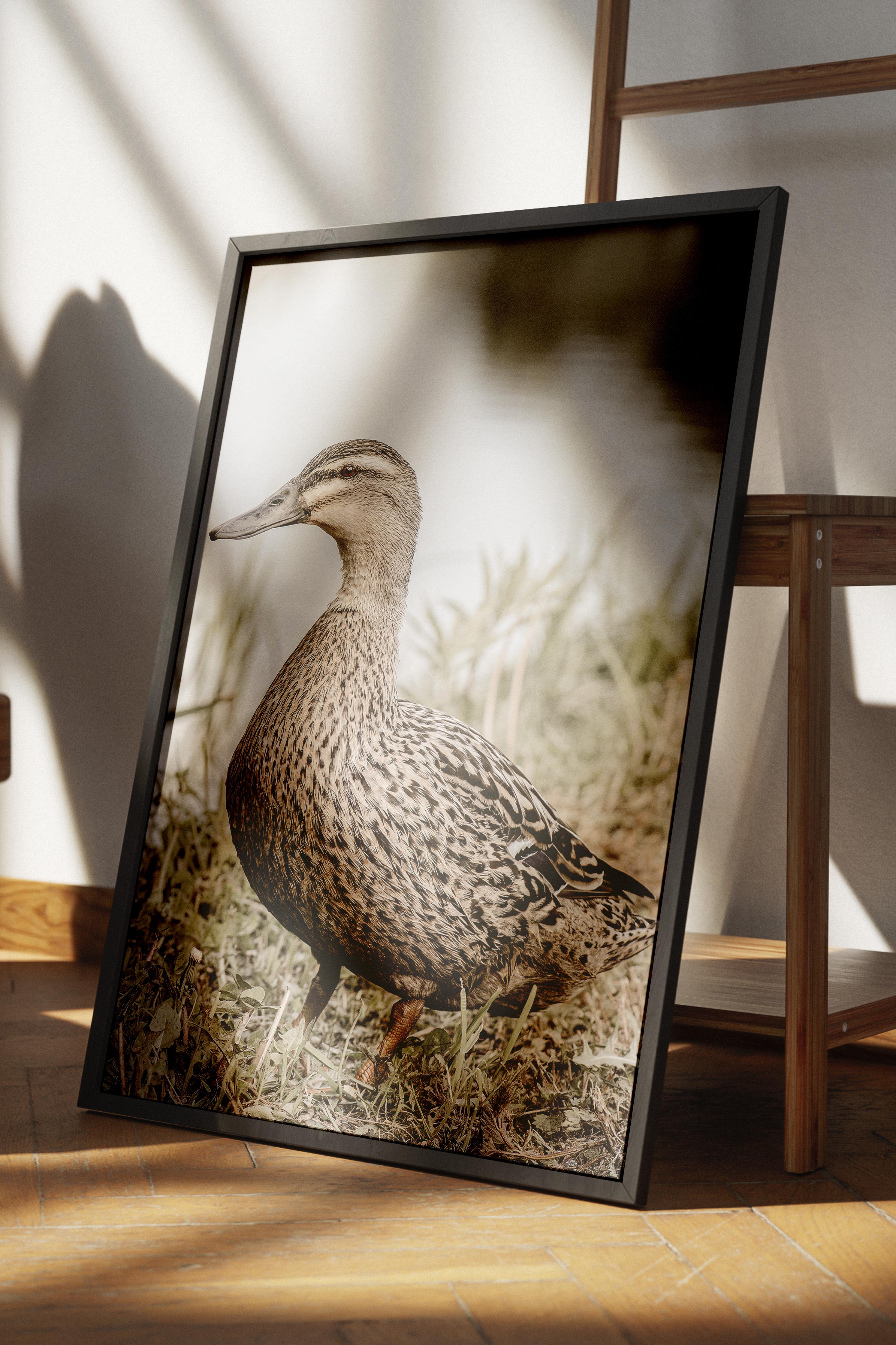 Rustic Çerçevesiz Poster, İskandinav Kahverengi Poster, NO:367 Ördek Fotoğraf, Dikey